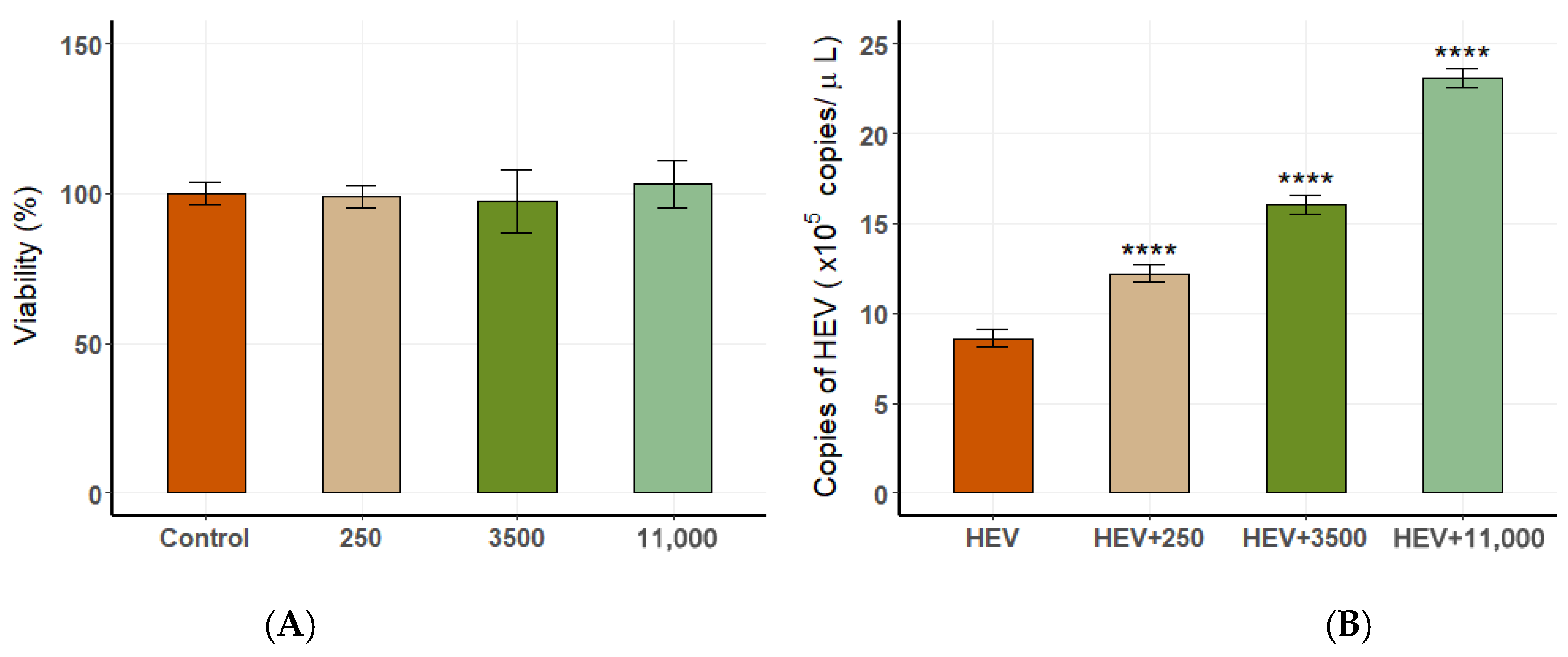 Vetsci 12 00483 g010