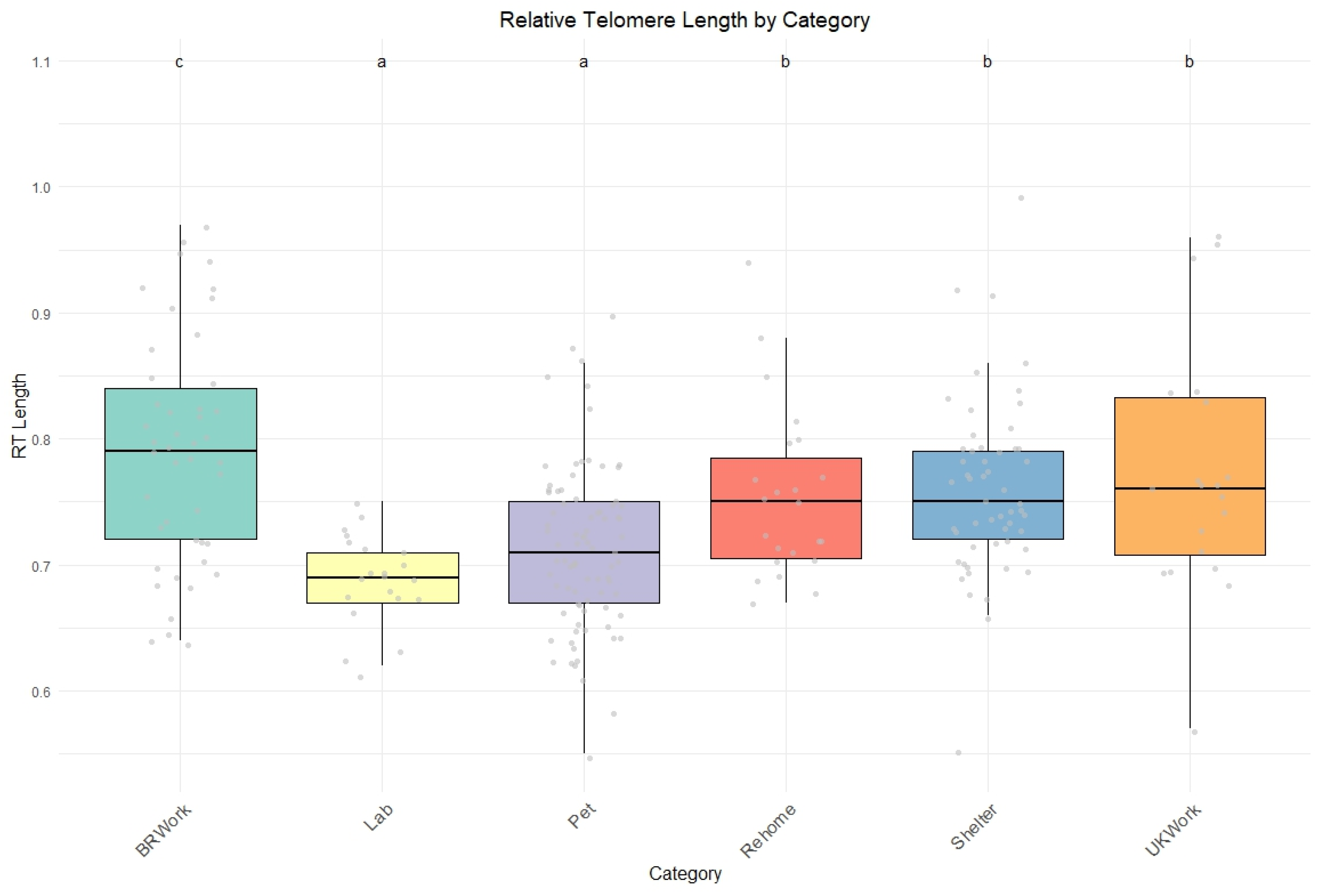 Vetsci 12 00491 g001
