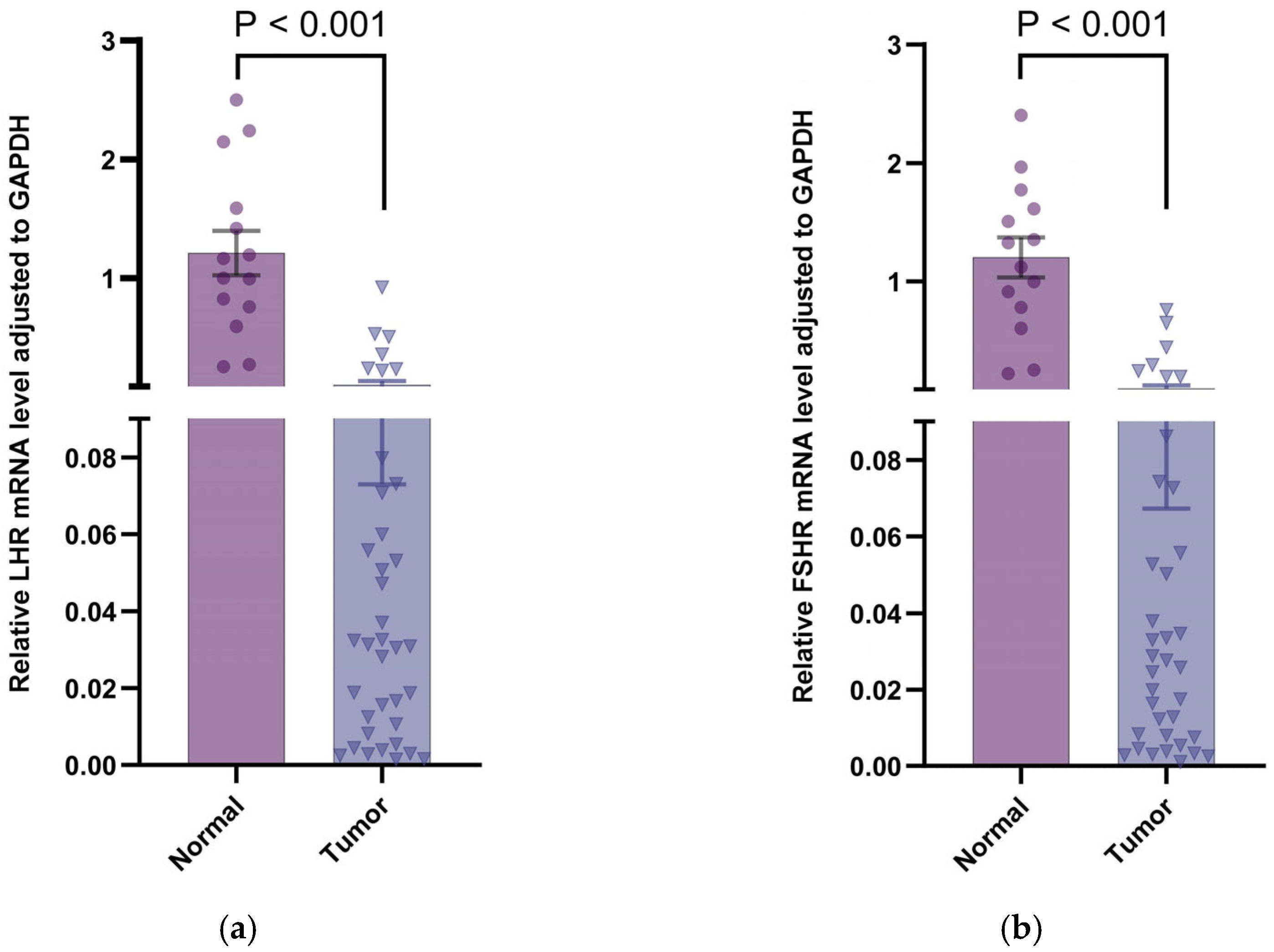 Vetsci 12 00496 g004