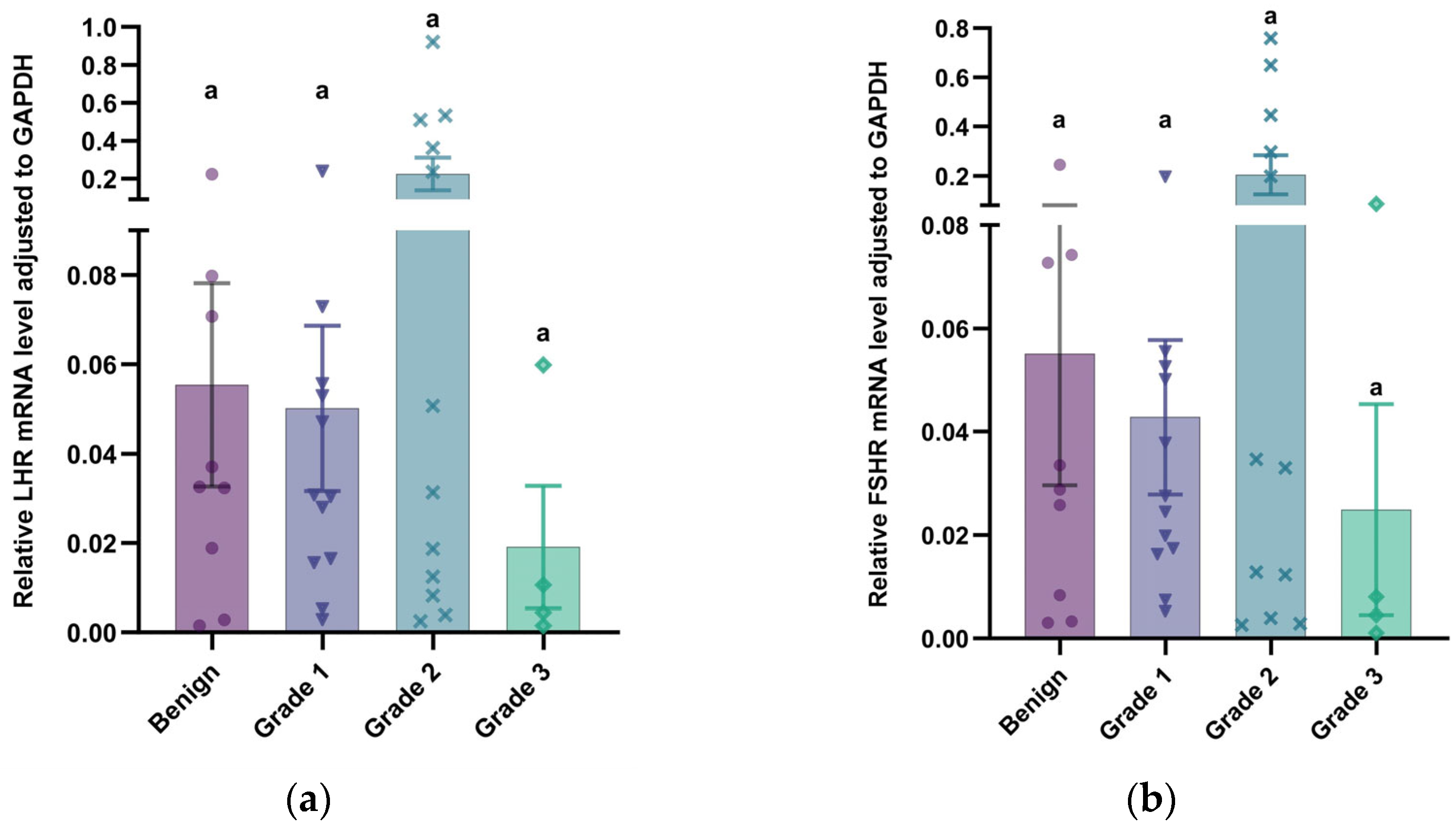 Vetsci 12 00496 g005