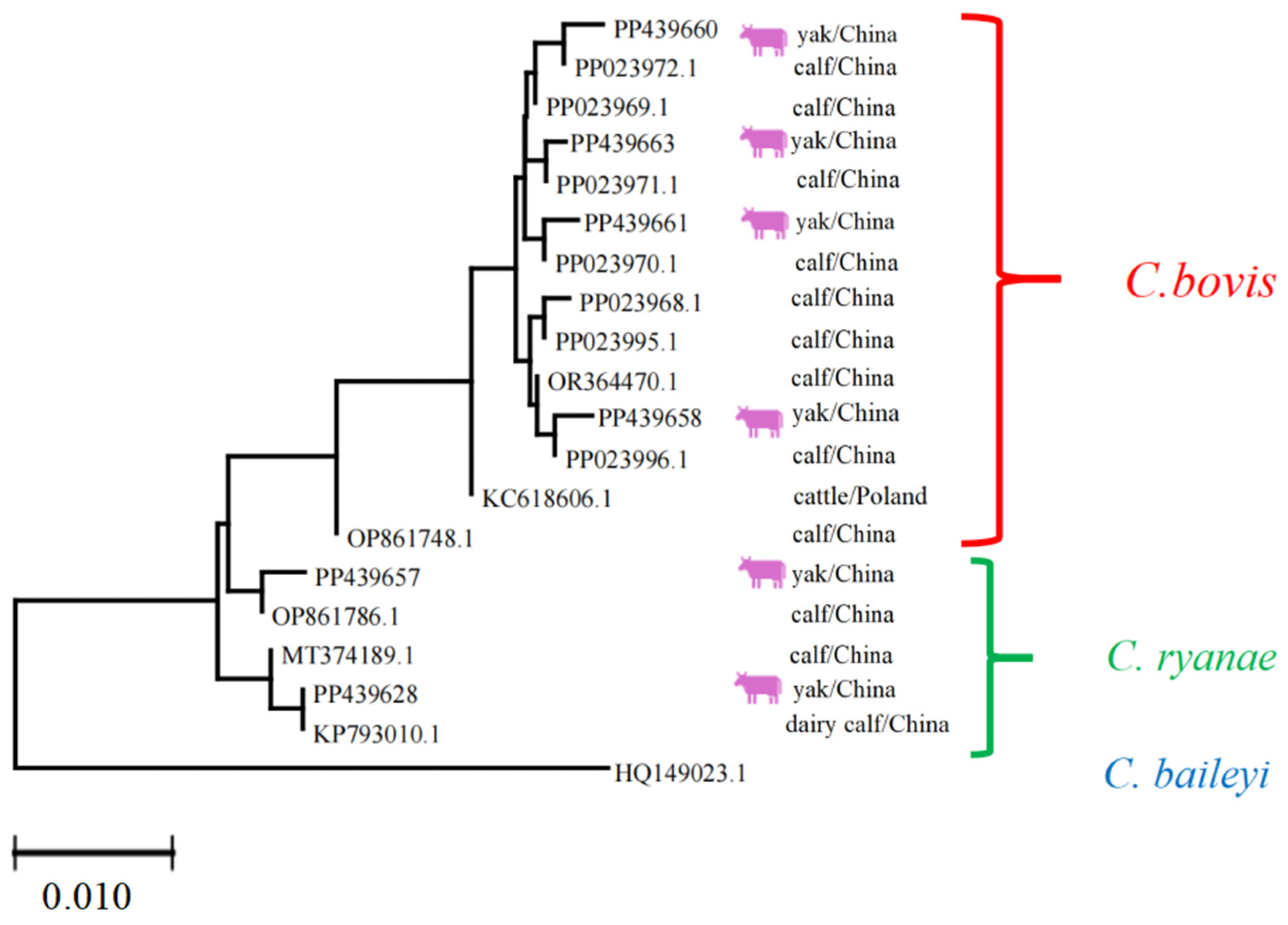 Vetsci 12 00504 g006