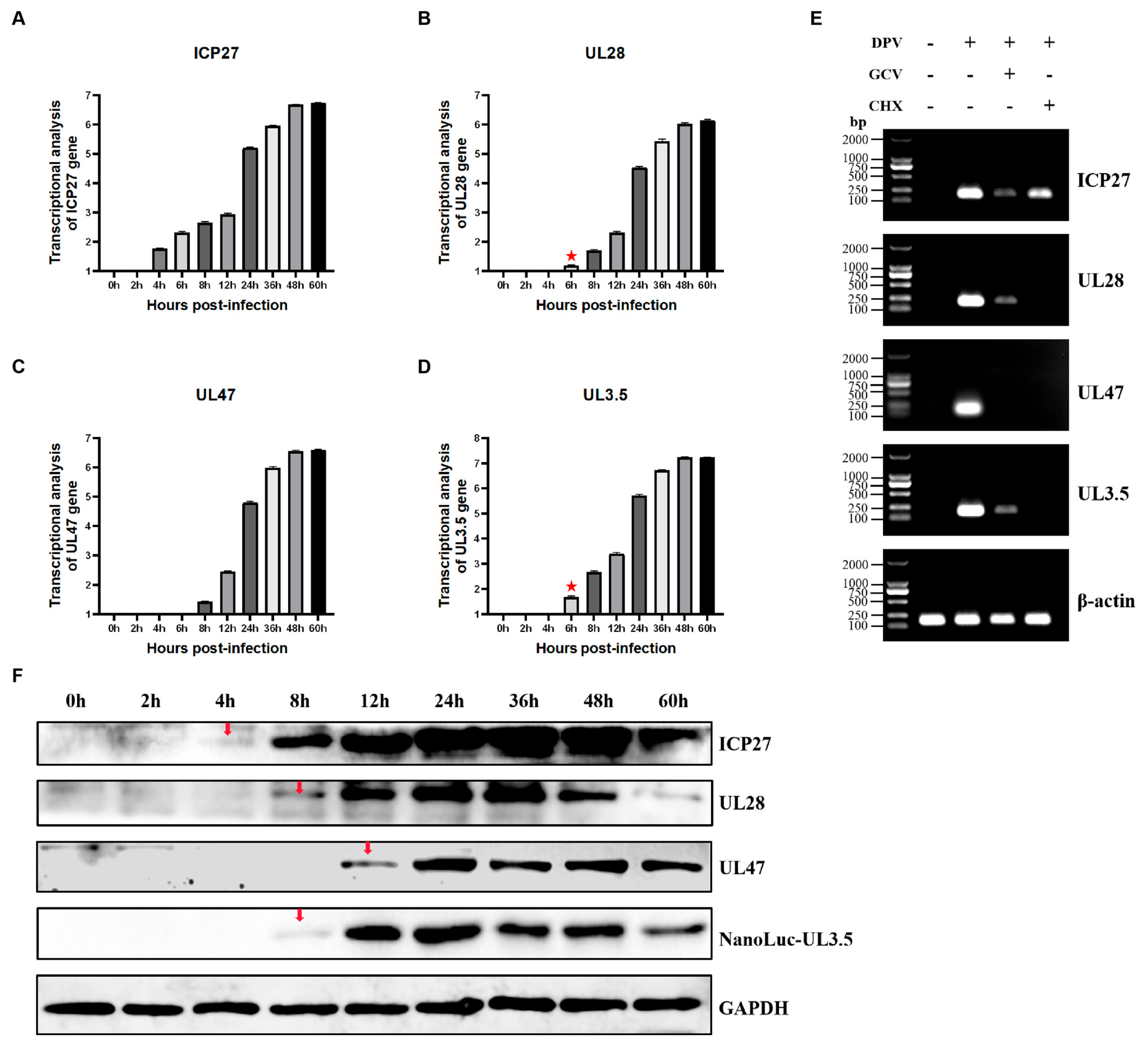 Vetsci 12 00510 g003