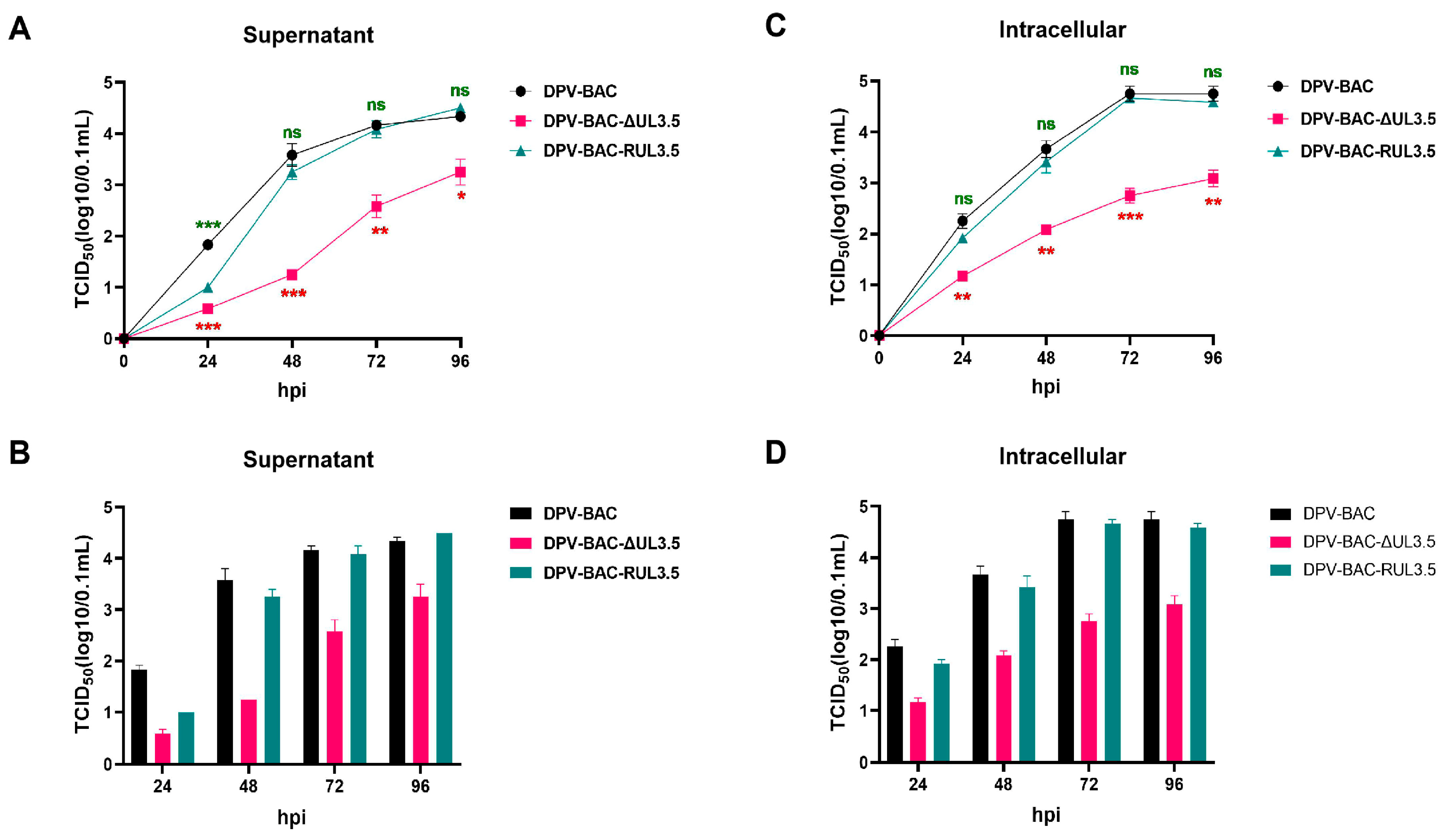 Vetsci 12 00510 g005