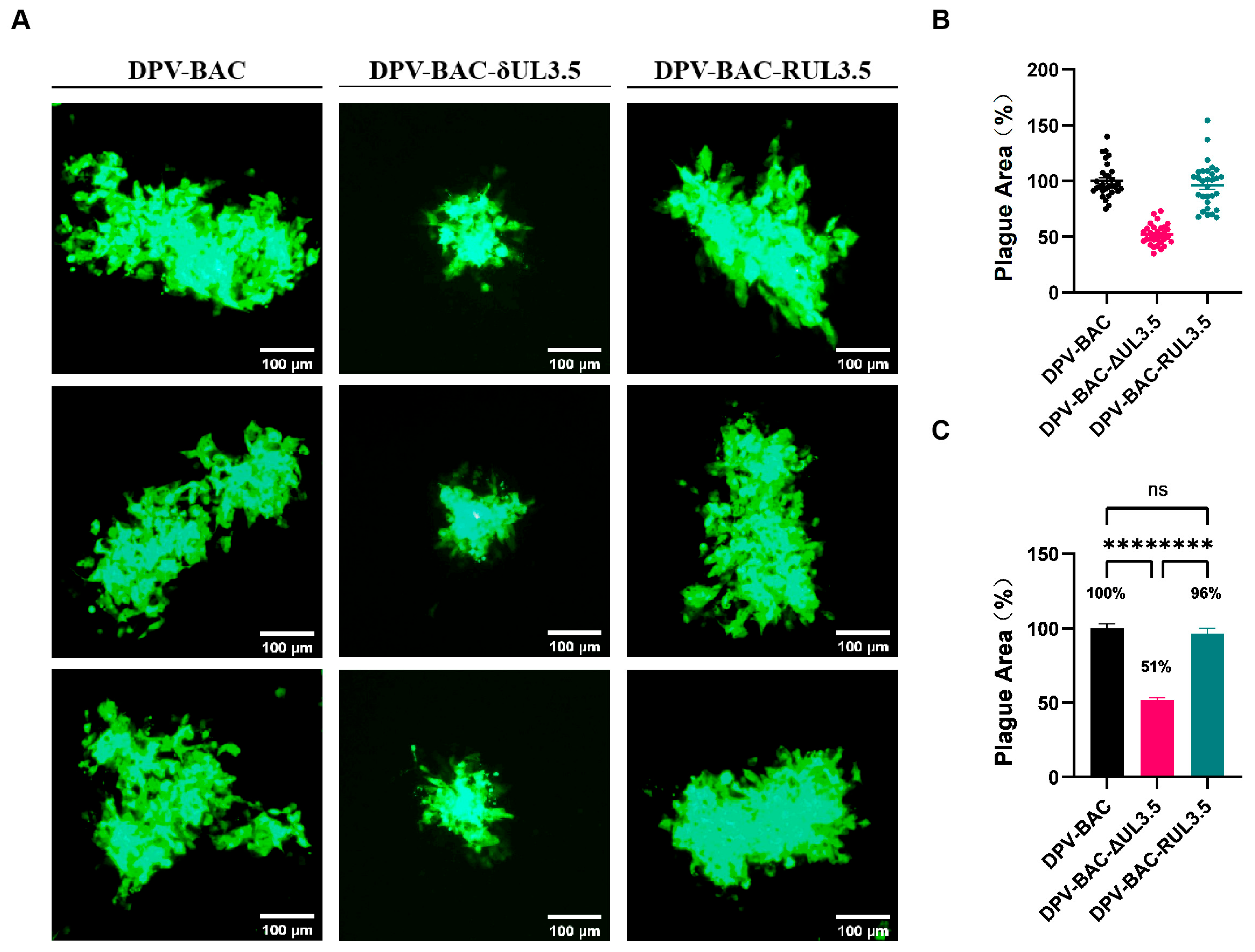 Vetsci 12 00510 g008