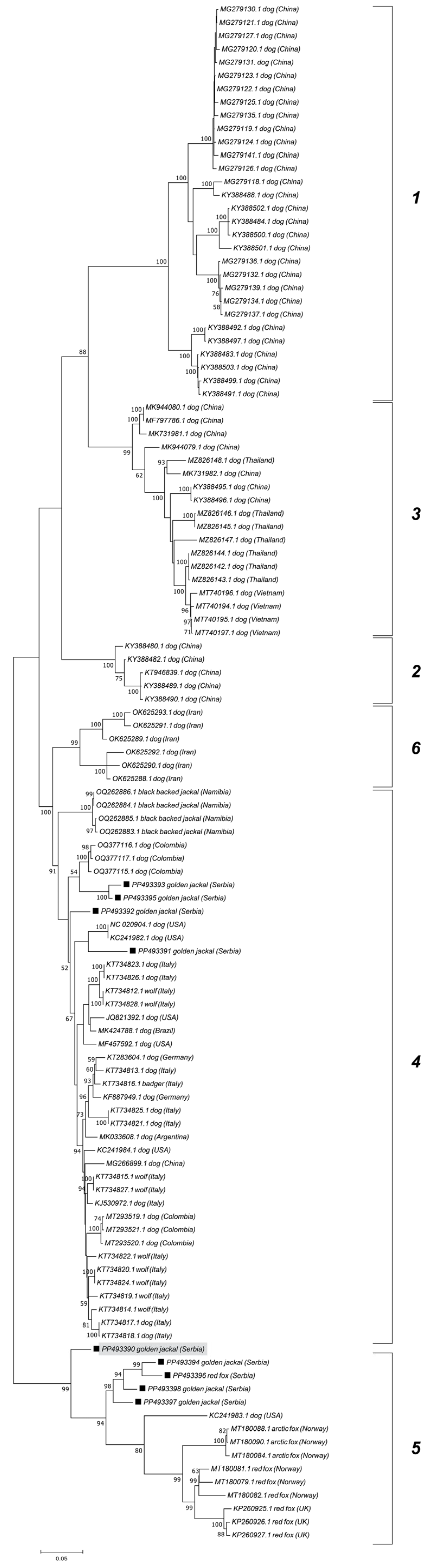Vetsci 12 00515 g003