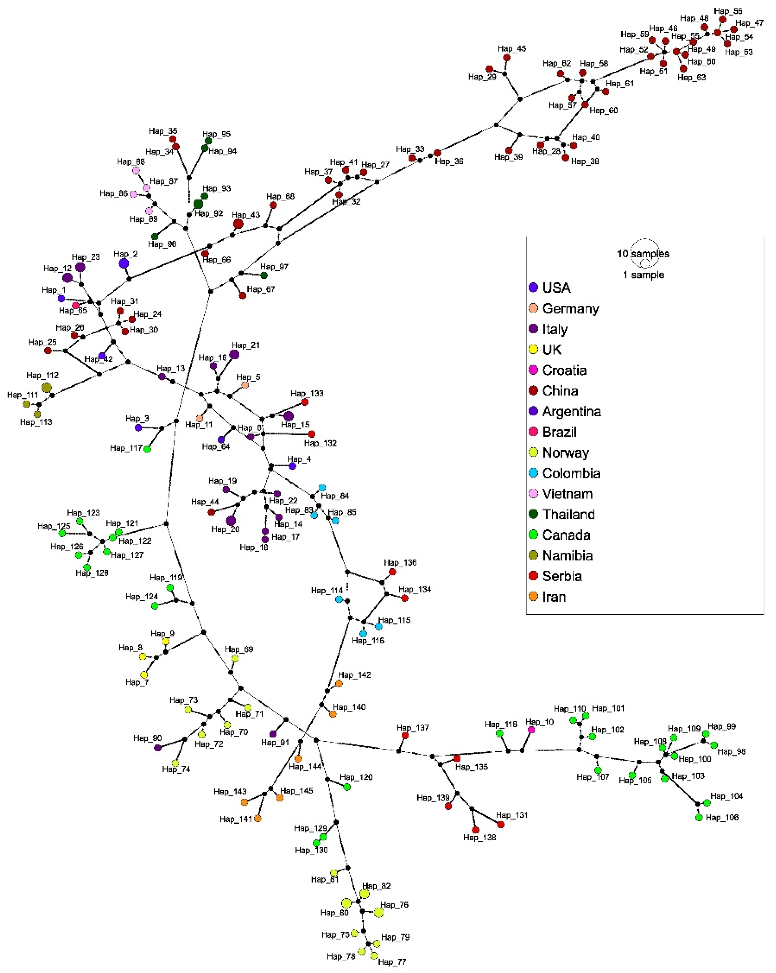 Vetsci 12 00515 g005