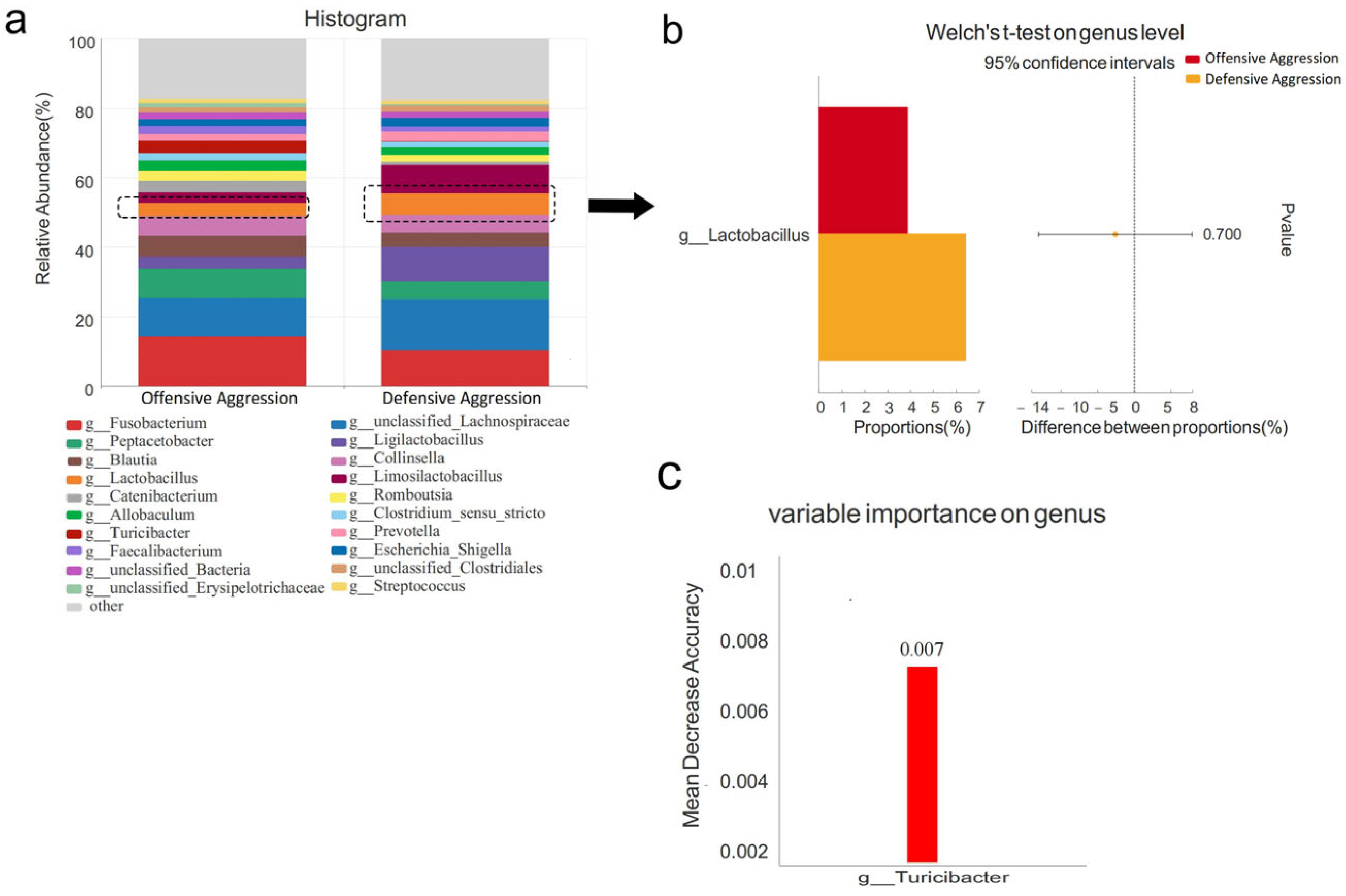 Vetsci 12 00526 g008