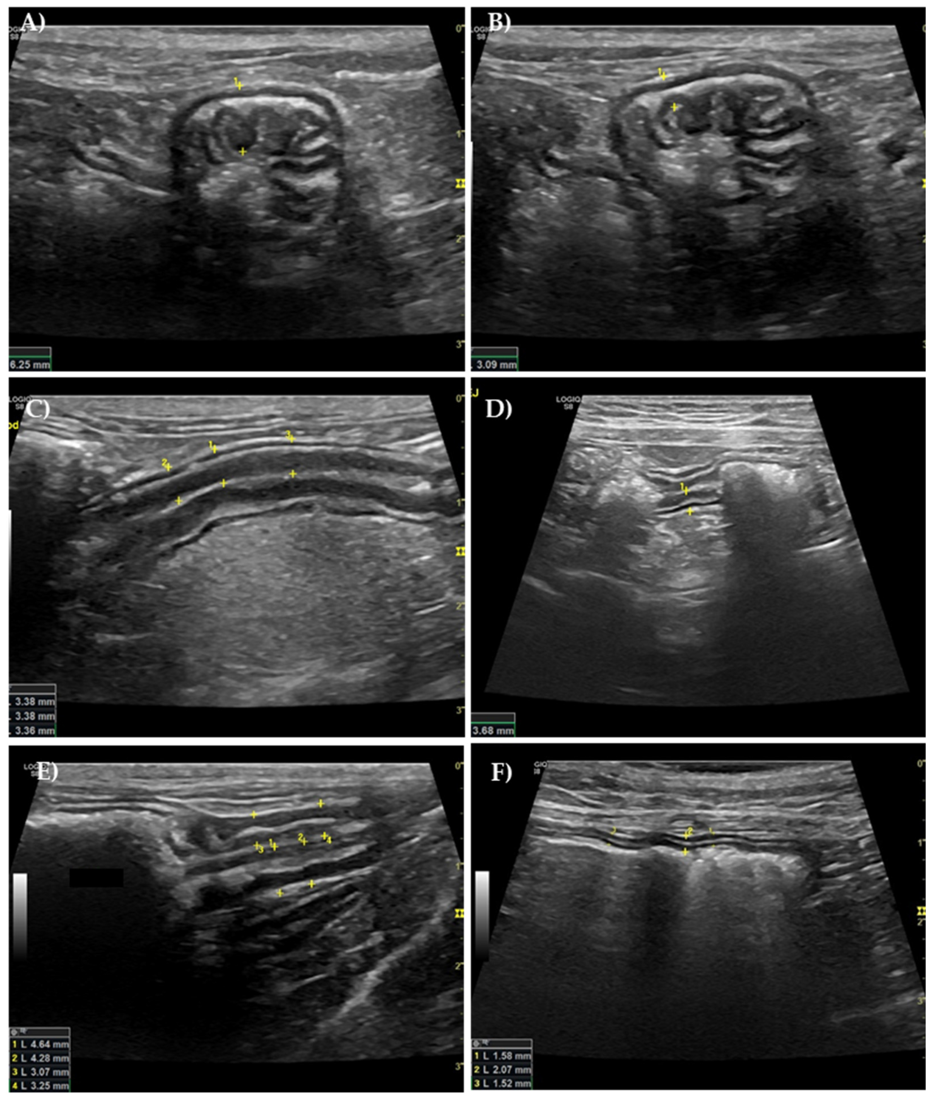 Vetsci 12 00529 g003