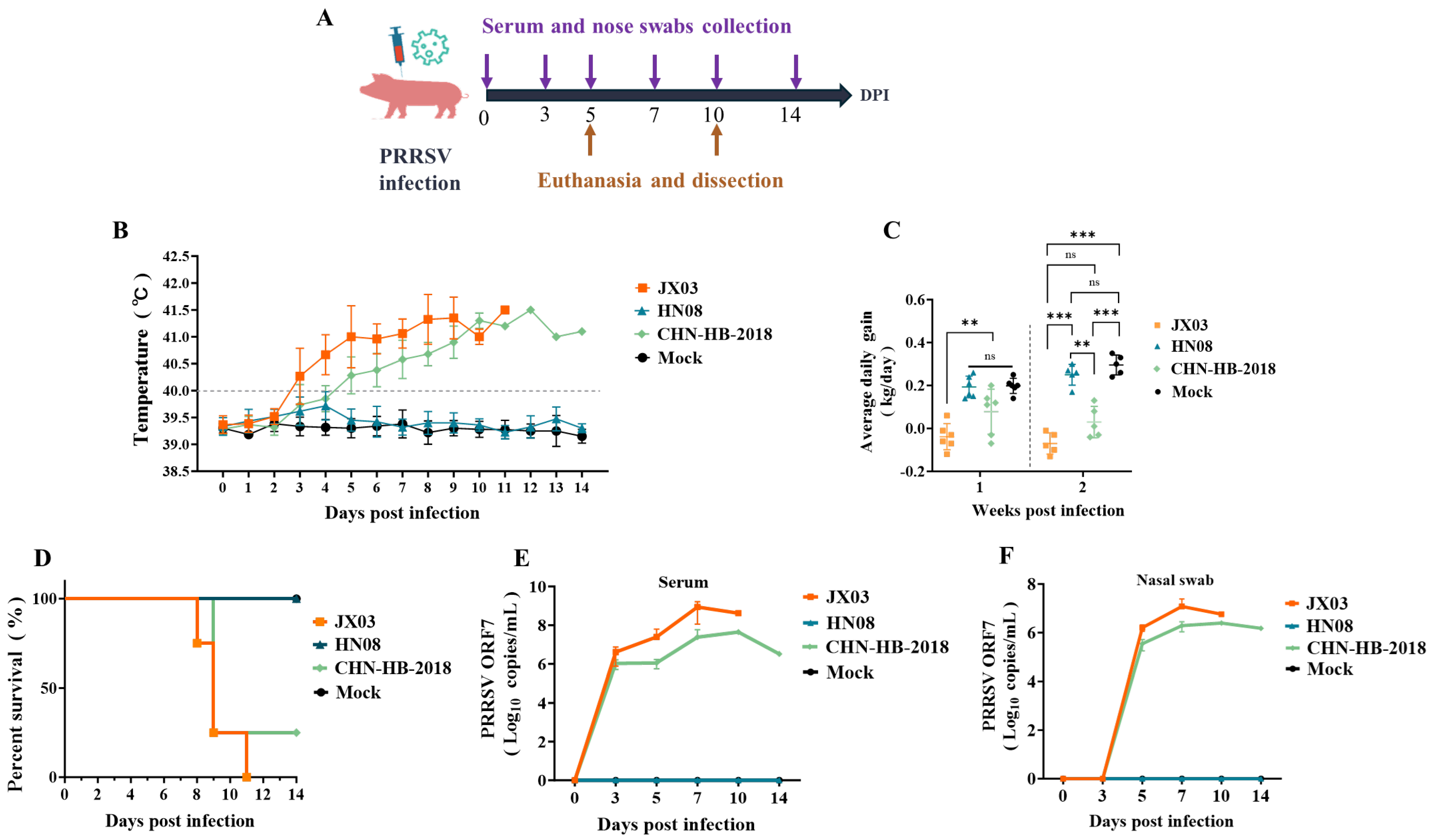 Vetsci 12 00530 g006