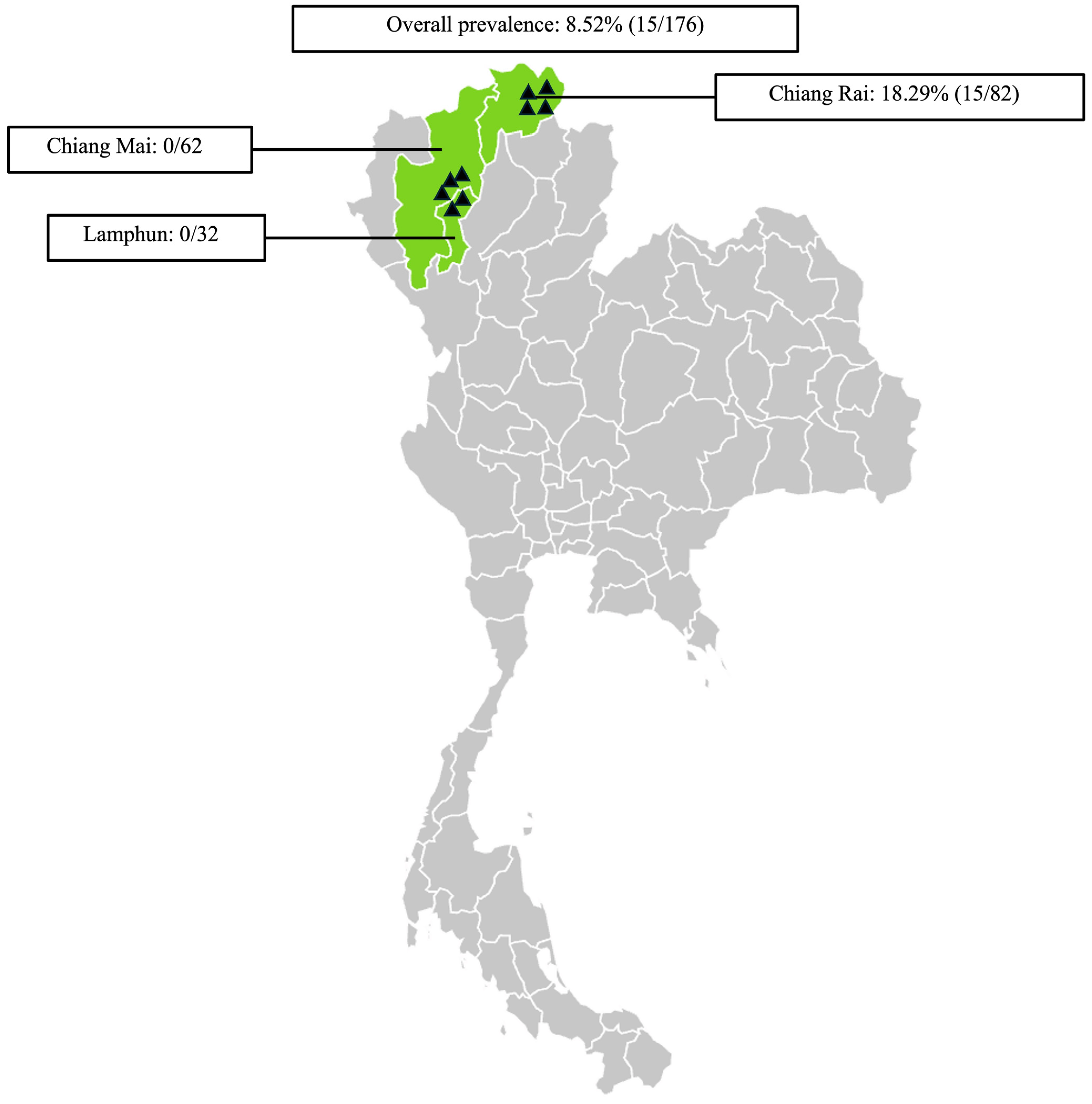 Vetsci 12 00555 g002