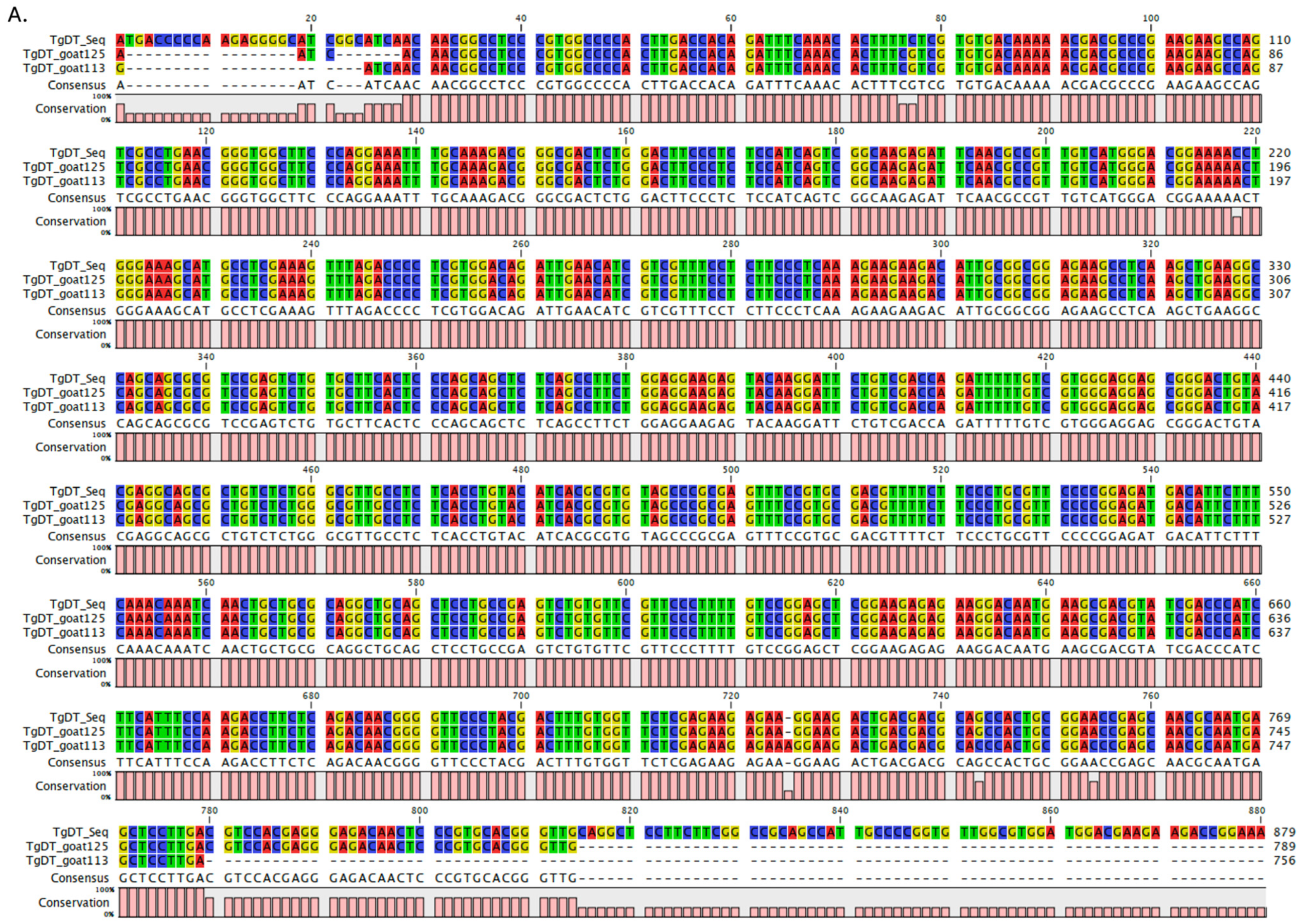 Vetsci 12 00555 g003a