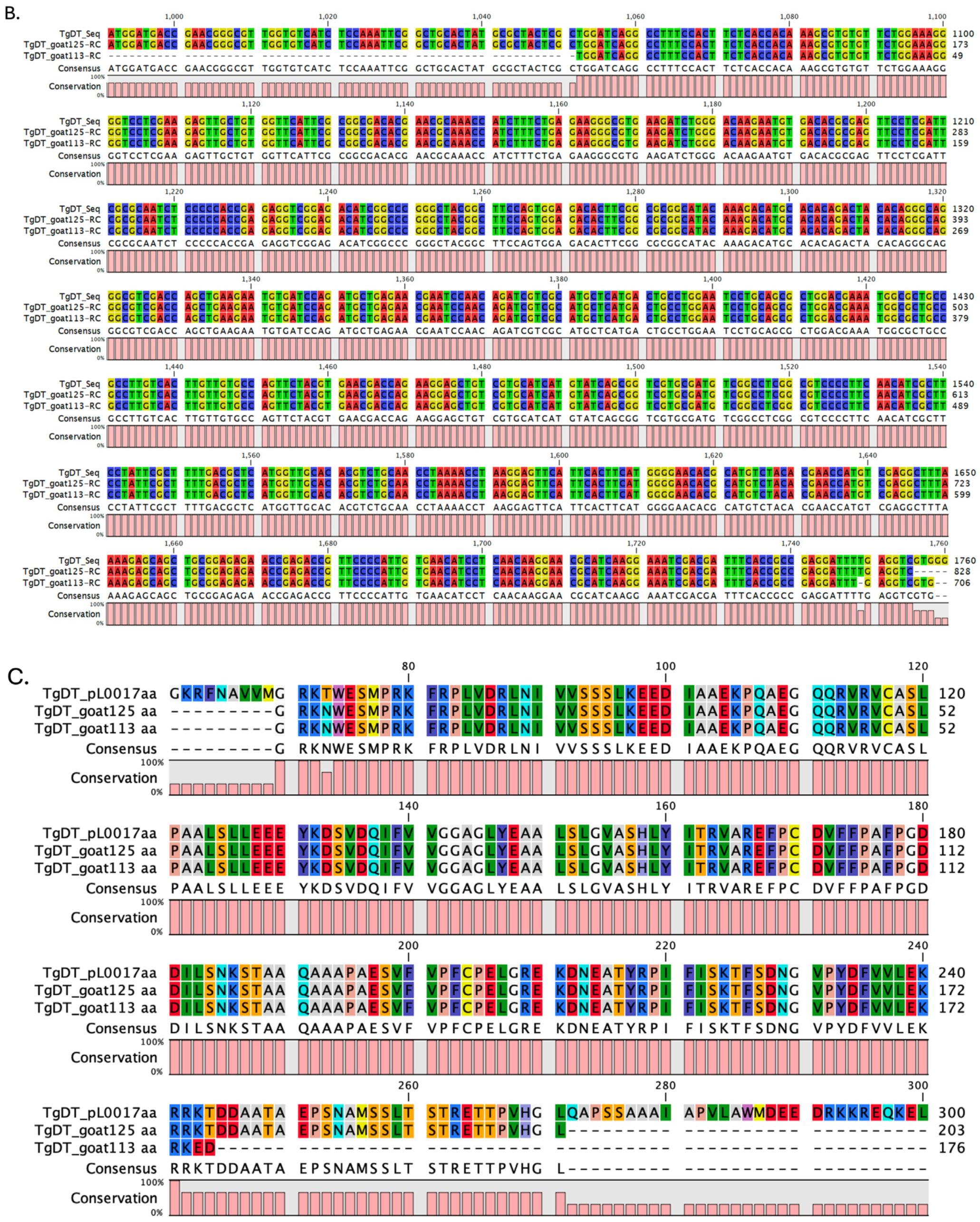 Vetsci 12 00555 g003b