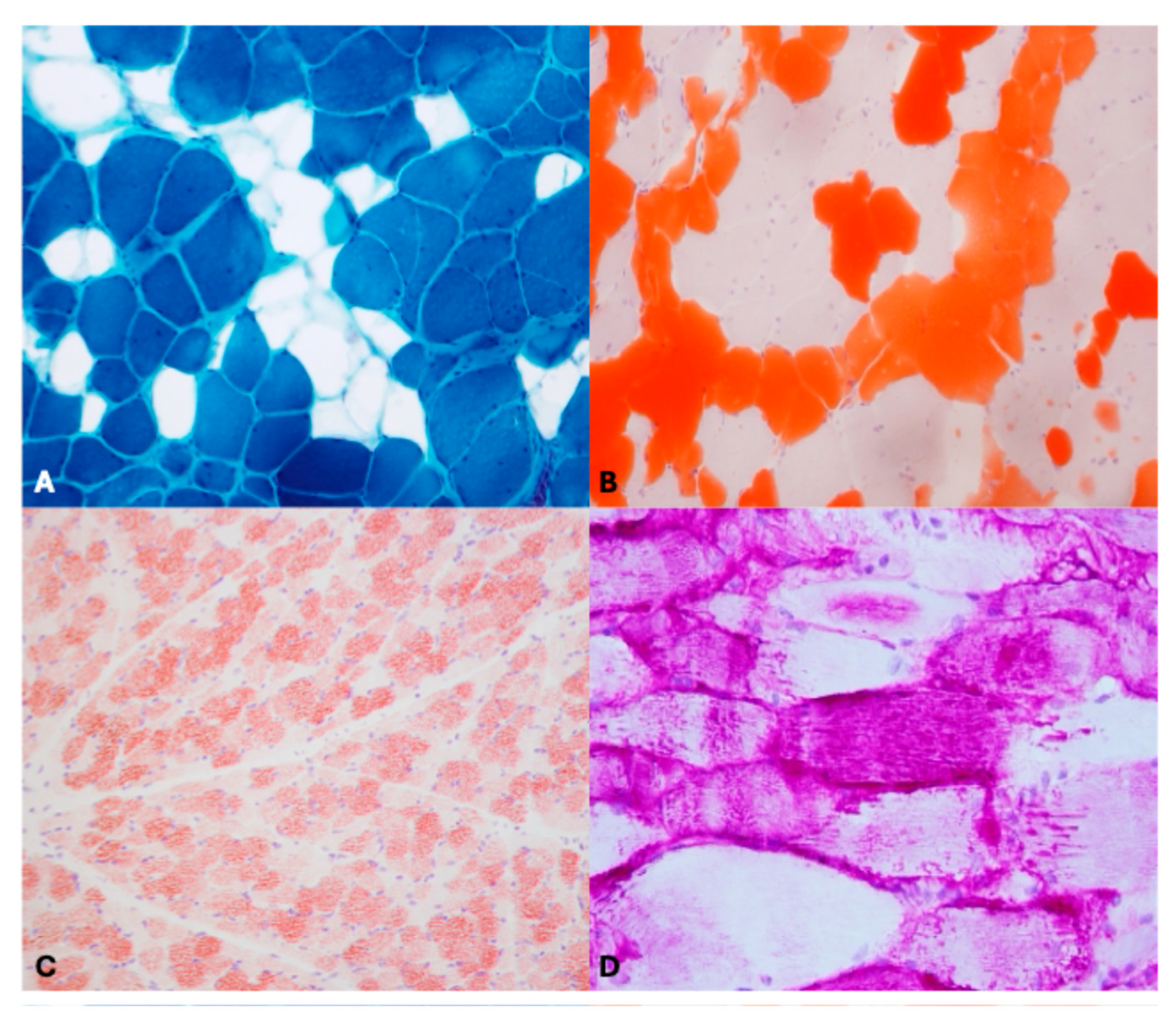 Vetsci 12 00557 g003 Vetsci 12 00557 g003
