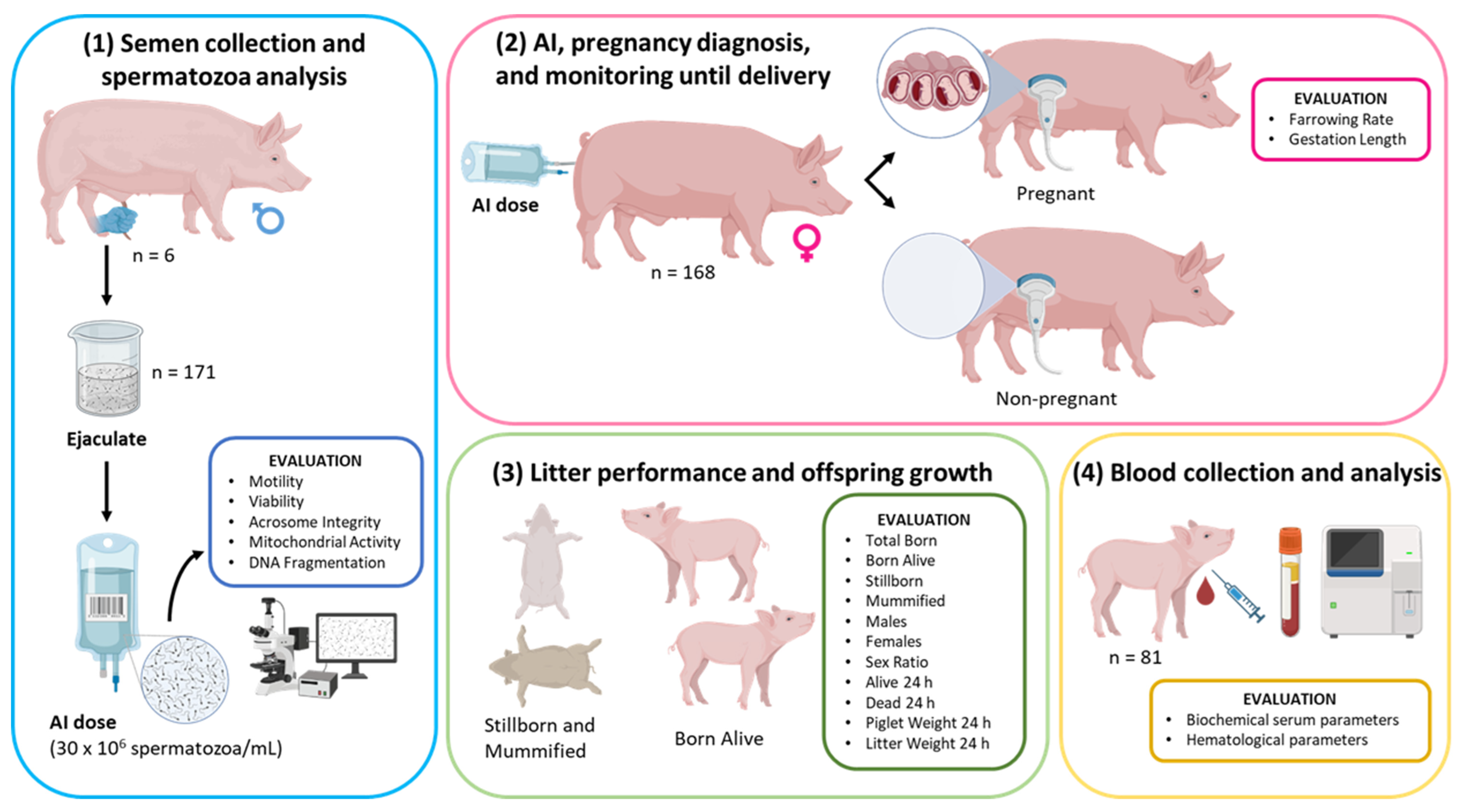 Vetsci 12 00582 g001