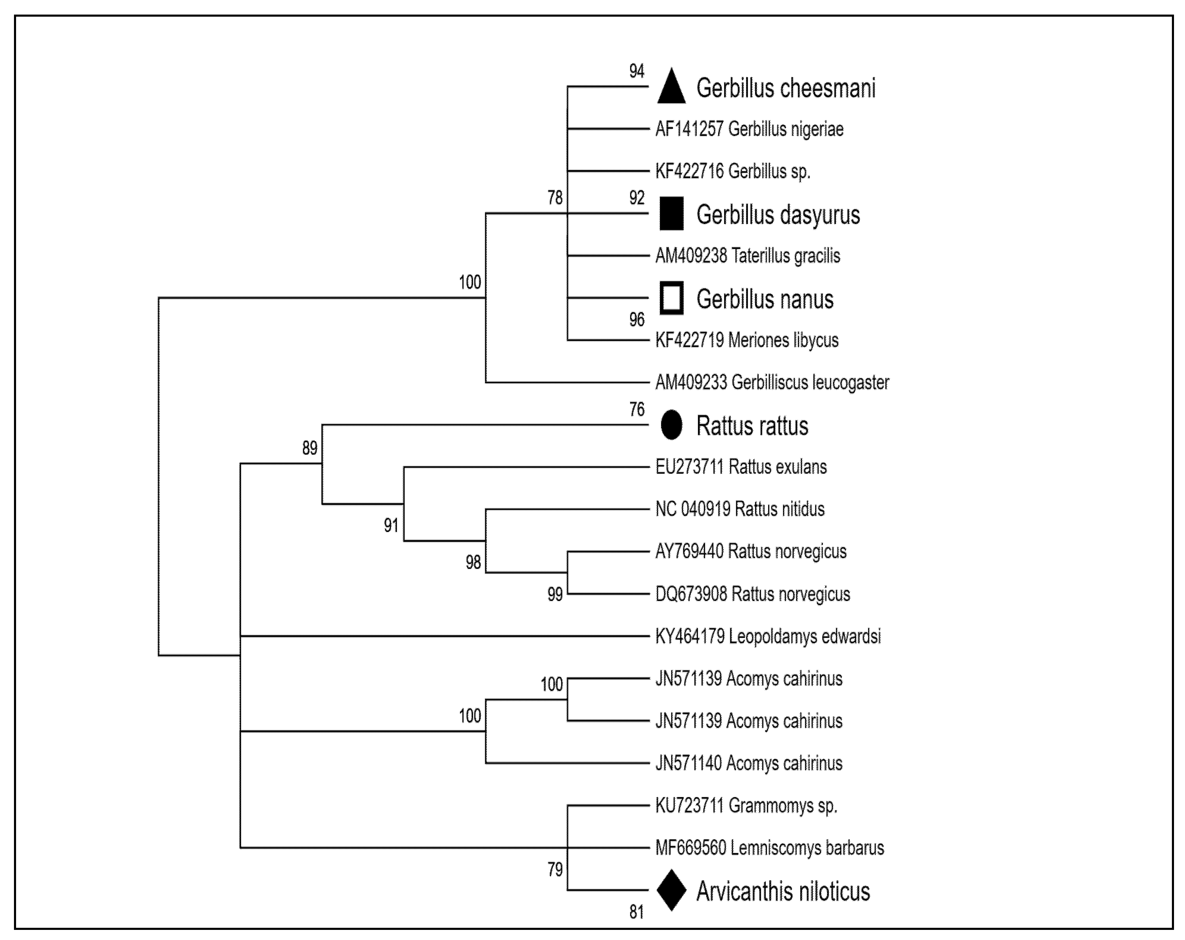Vetsci 12 00608 g001