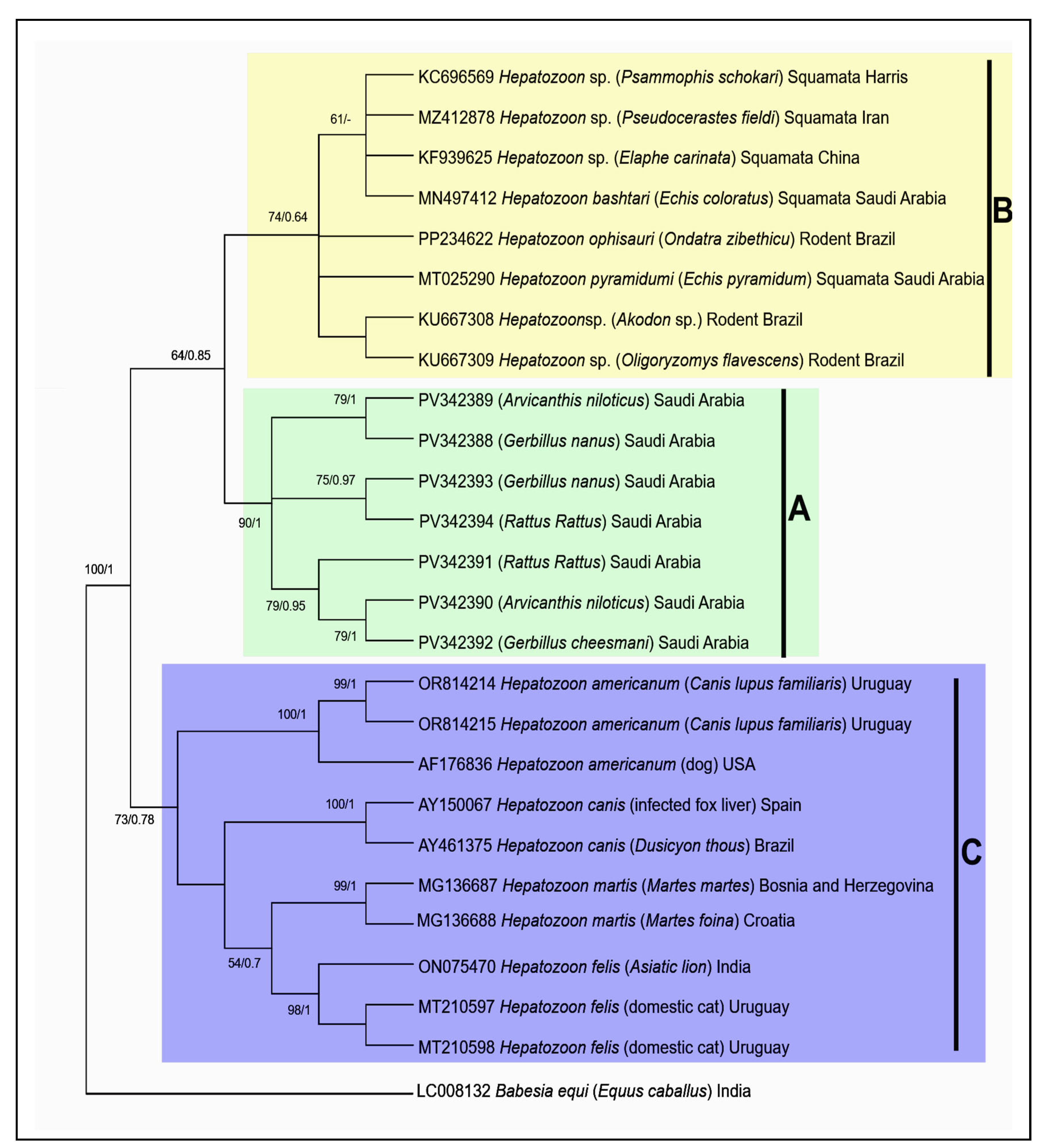 Vetsci 12 00608 g003