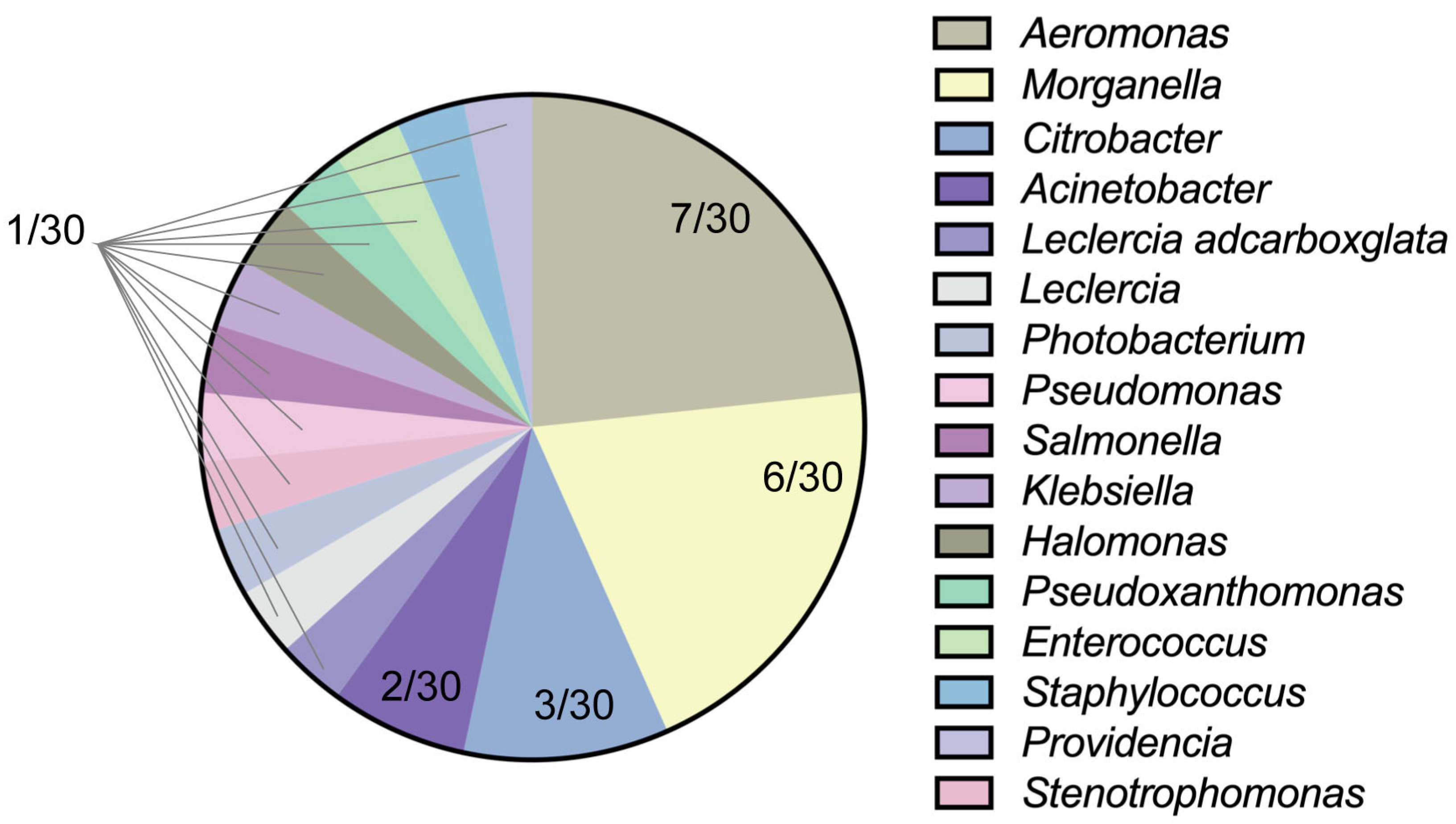 Vetsci 12 00611 g001