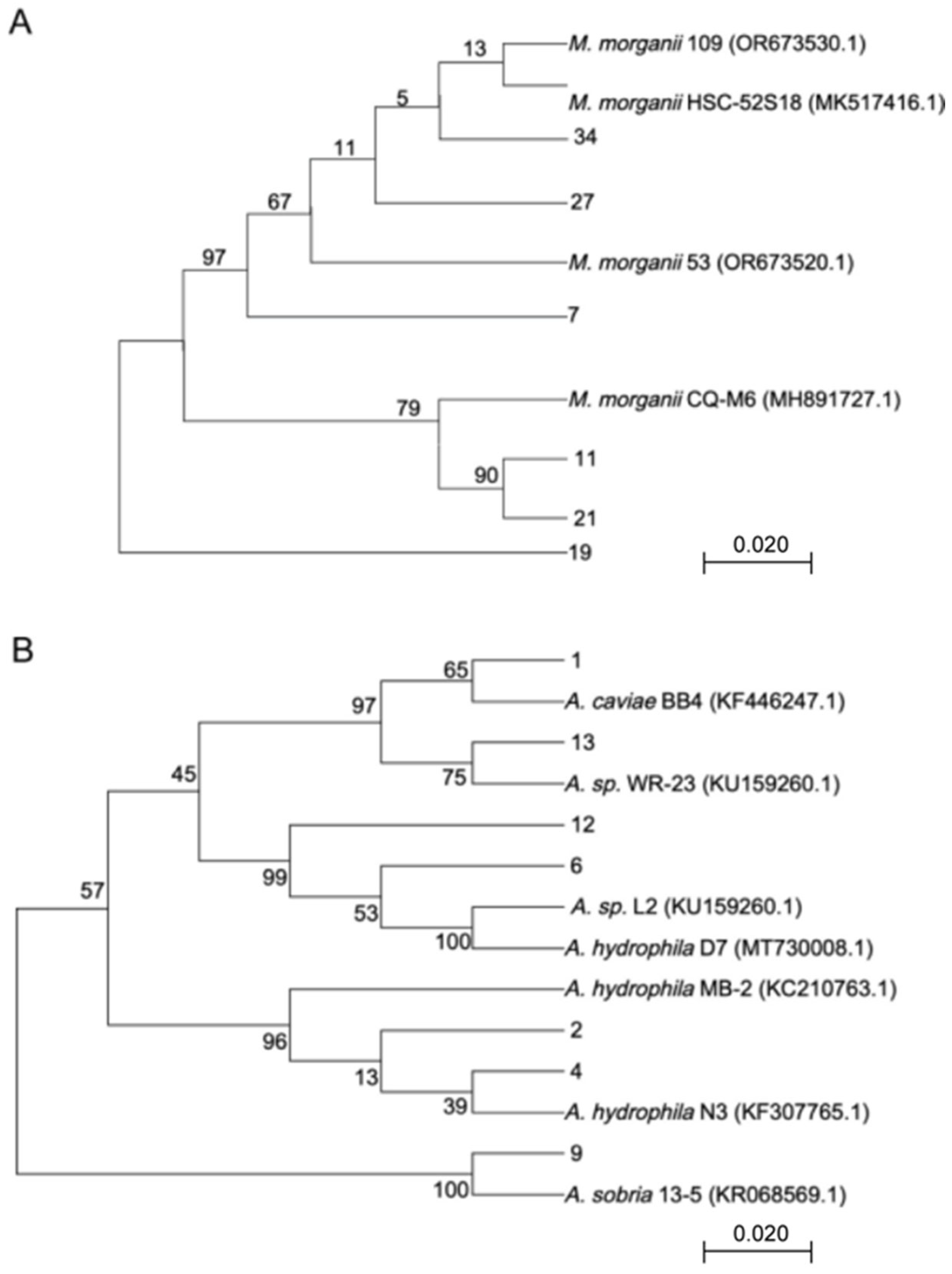Vetsci 12 00611 g002