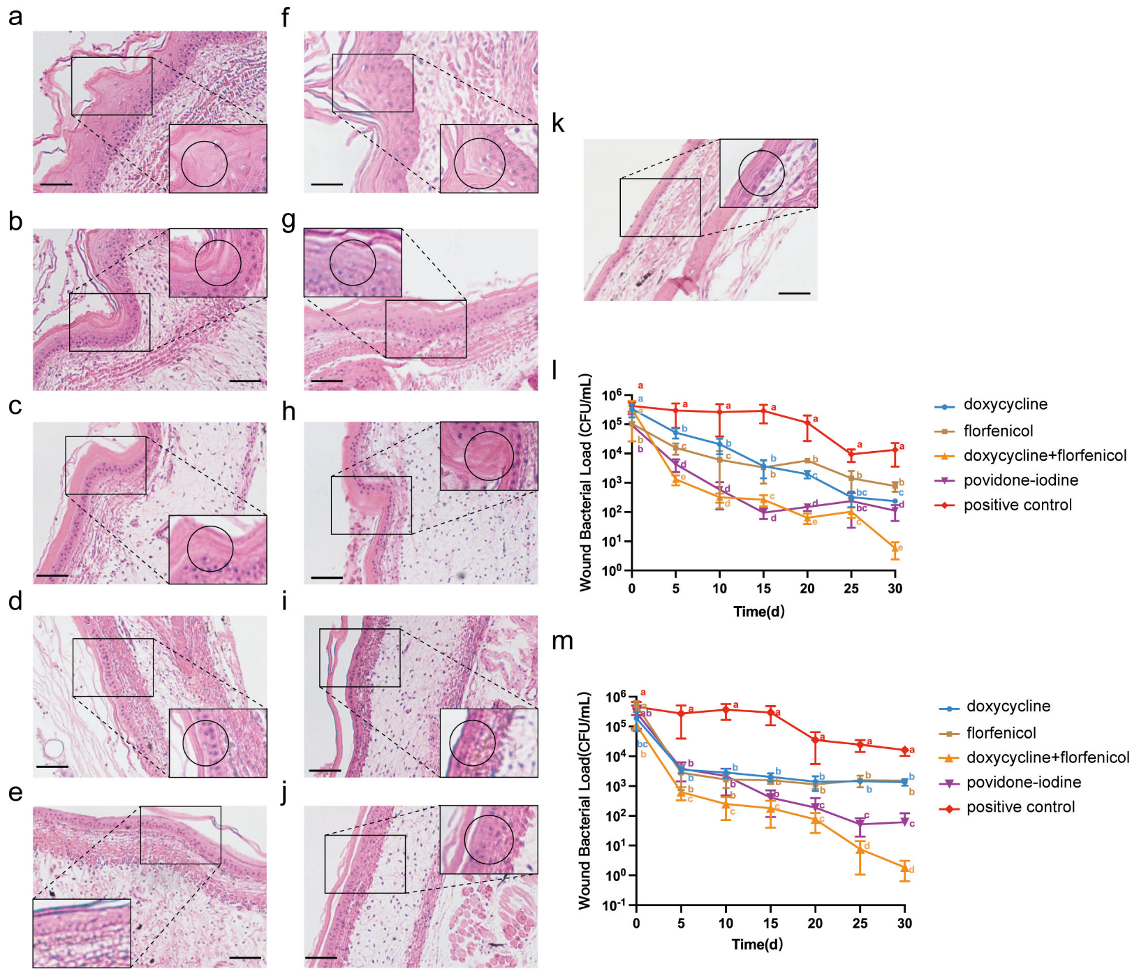 Vetsci 12 00611 g005