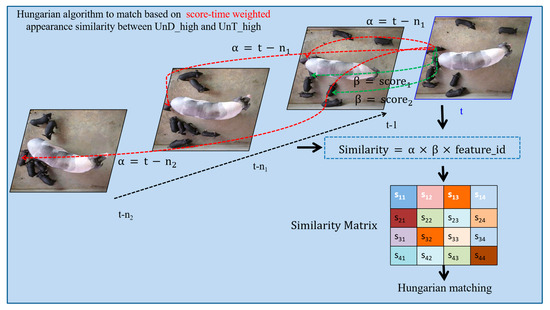 Vetsci 12 00616 g005