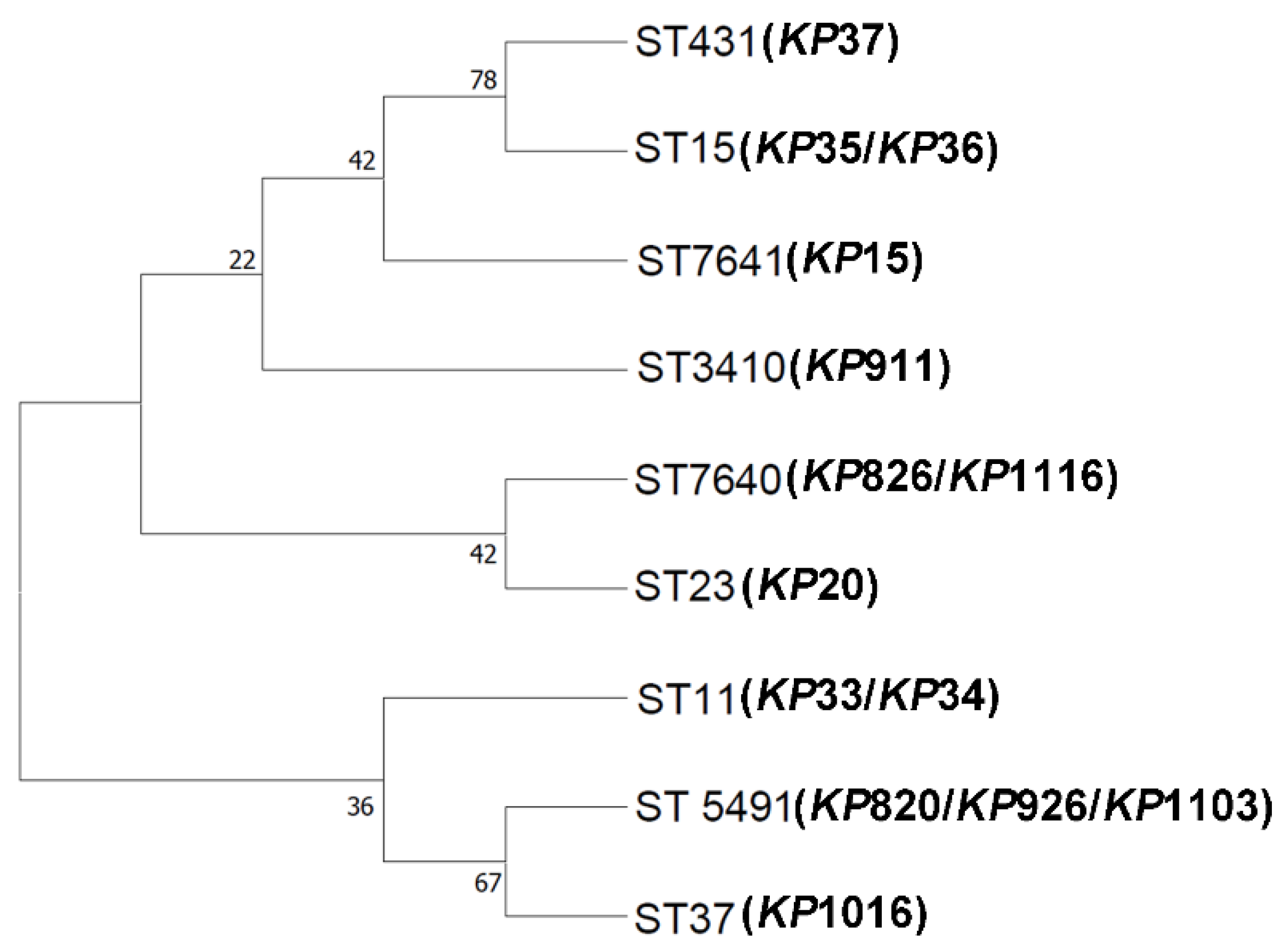 Vetsci 12 00628 g001 Vetsci 12 00628 g001