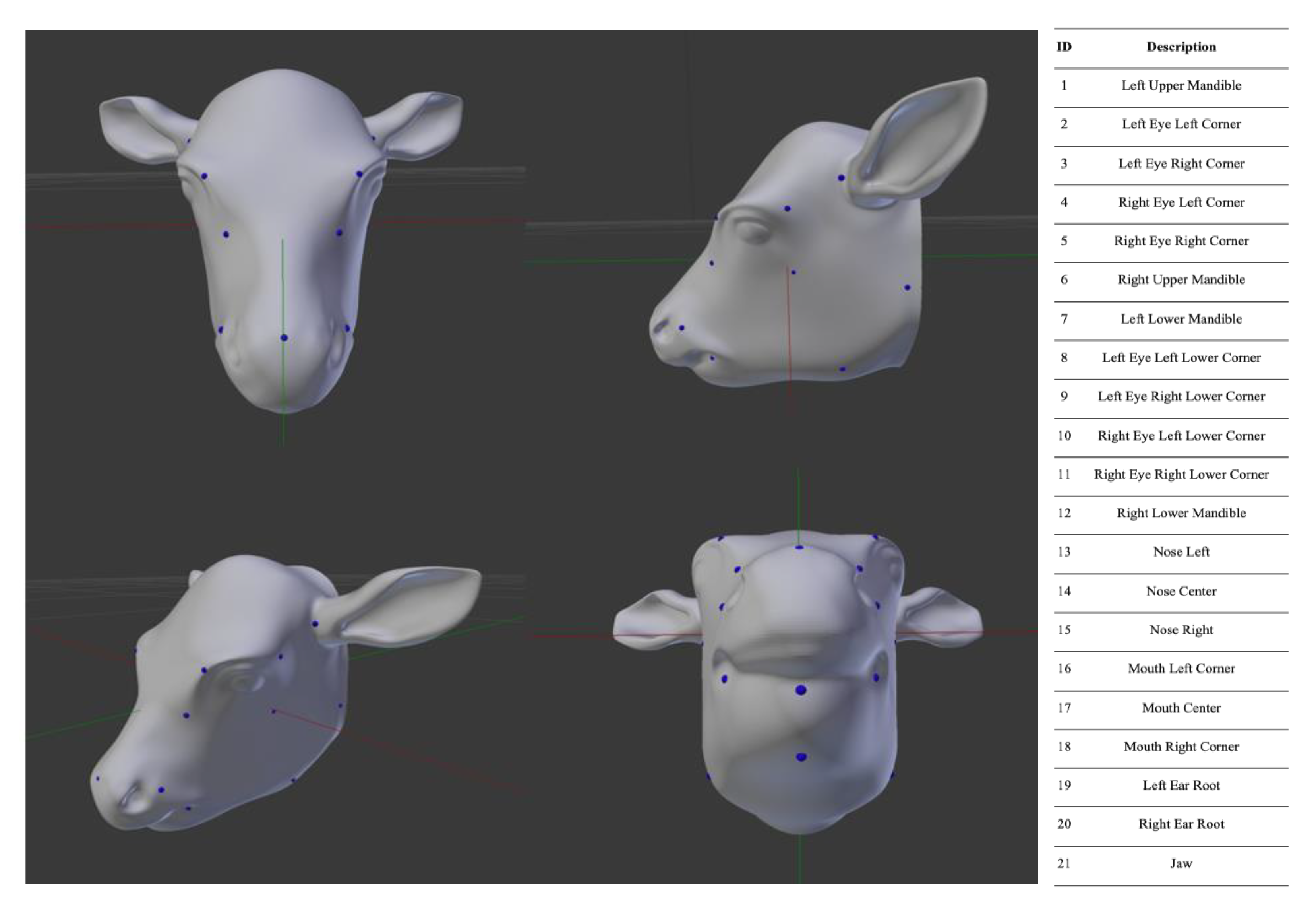 Vetsci 12 00664 g005