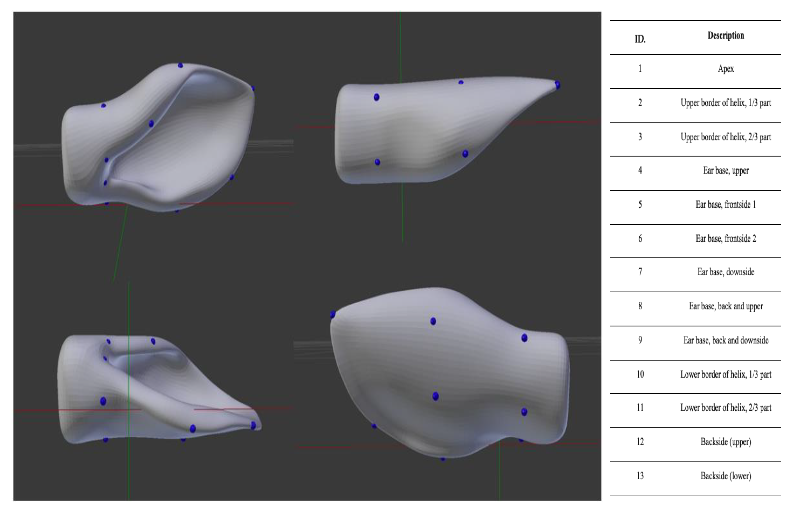 Vetsci 12 00664 g006