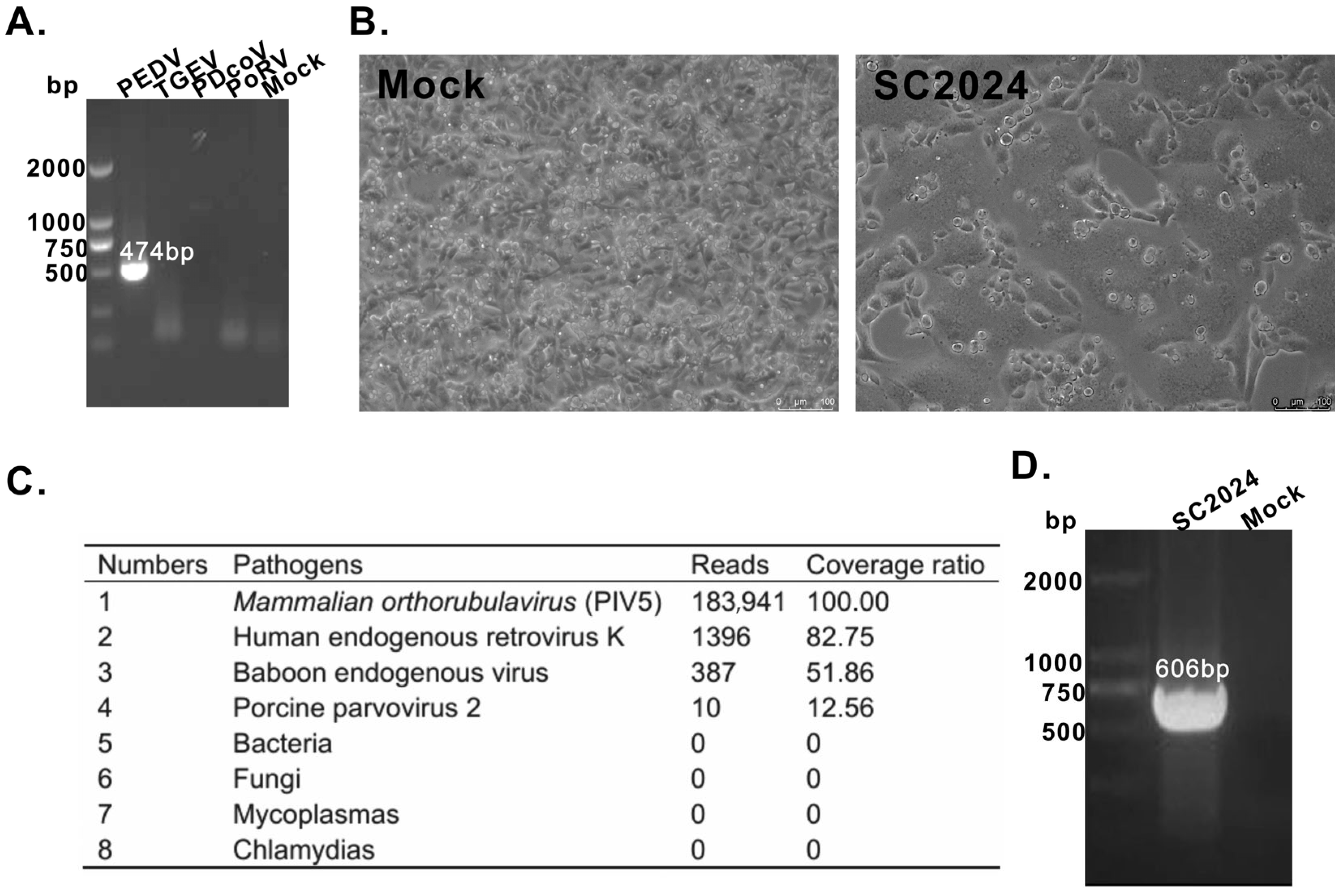 Vetsci 12 00676 g001
