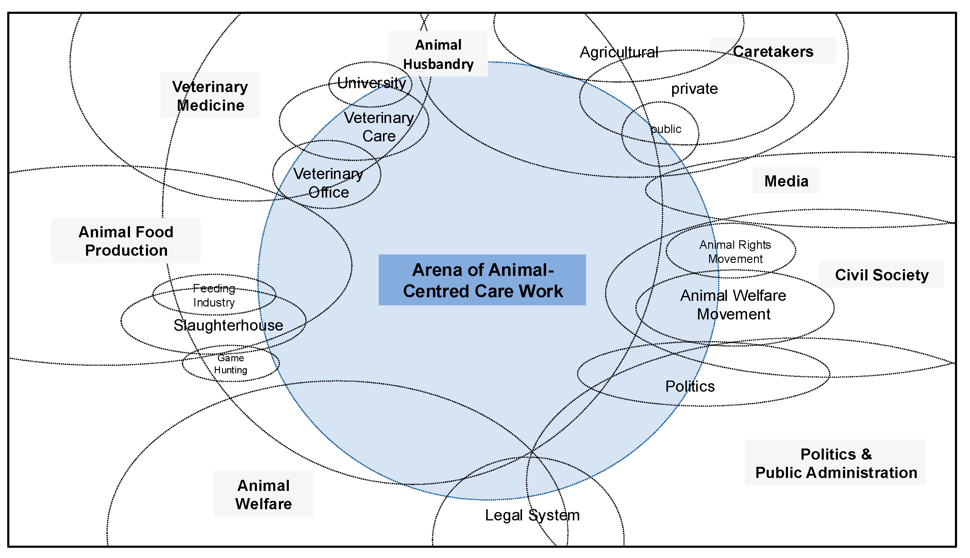 Vetsci 12 00696 g001