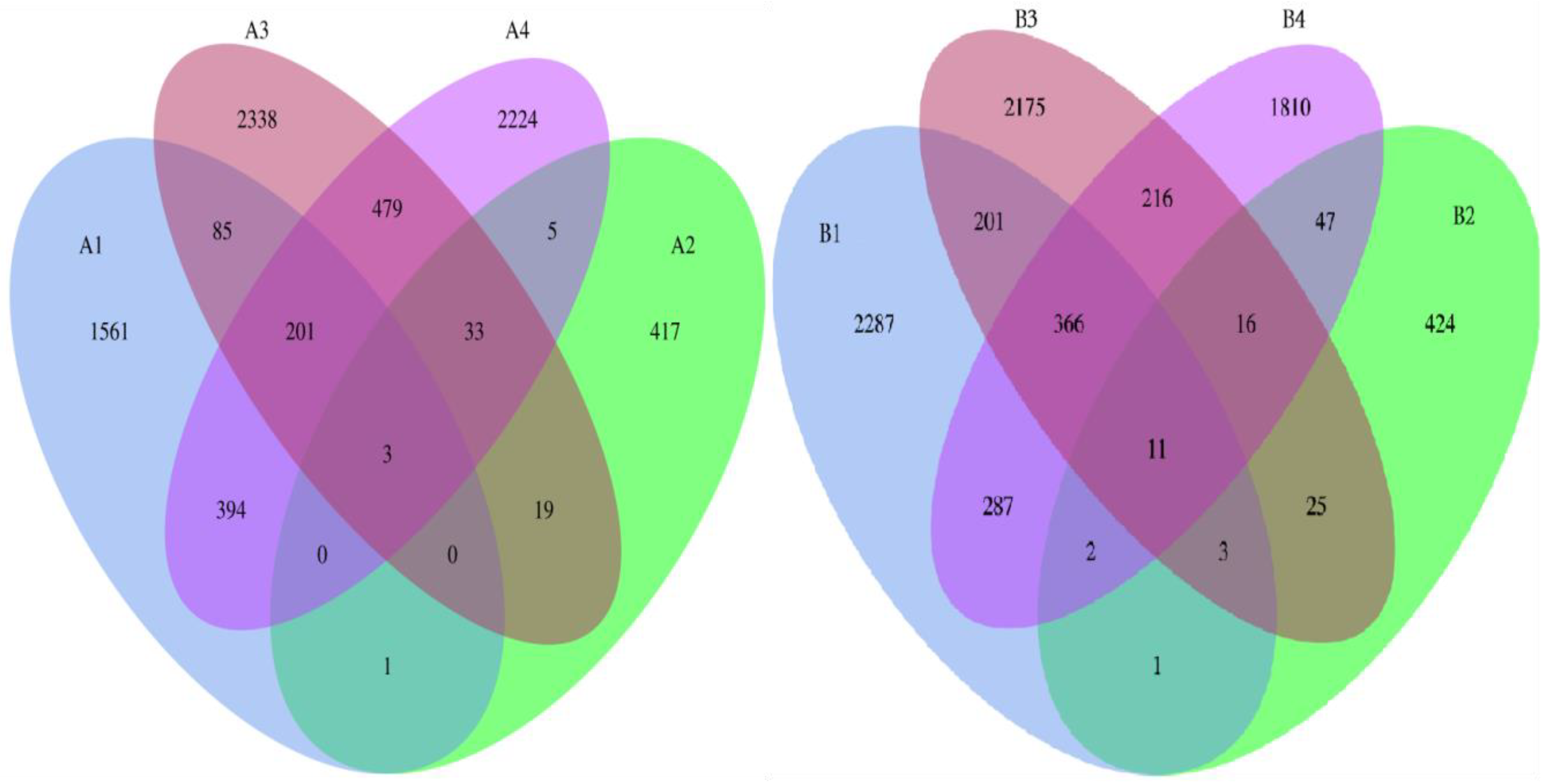 Vetsci 12 00707 g005