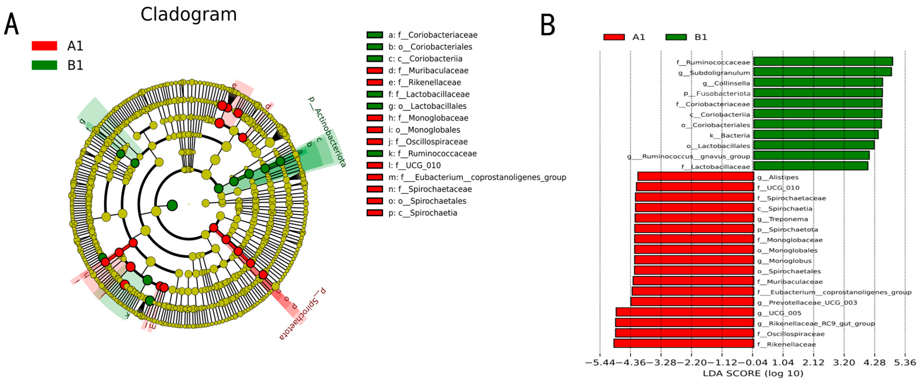 Vetsci 12 00707 g006