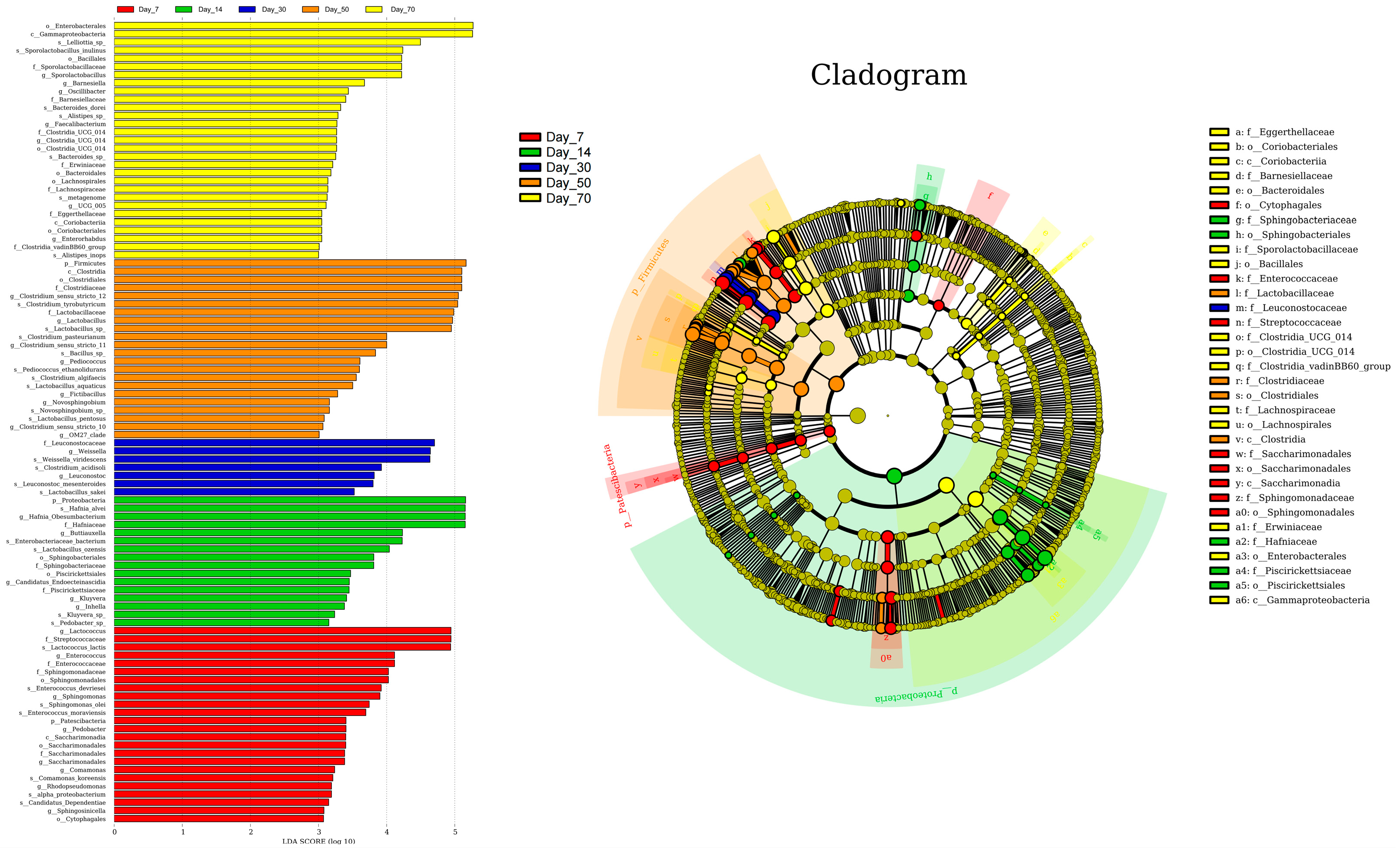 Vetsci 12 00708 g006