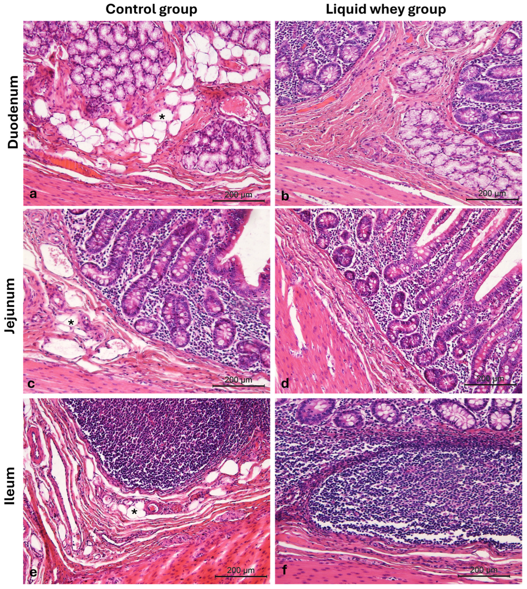 Vetsci 12 00716 g006 Vetsci 12 00716 g006