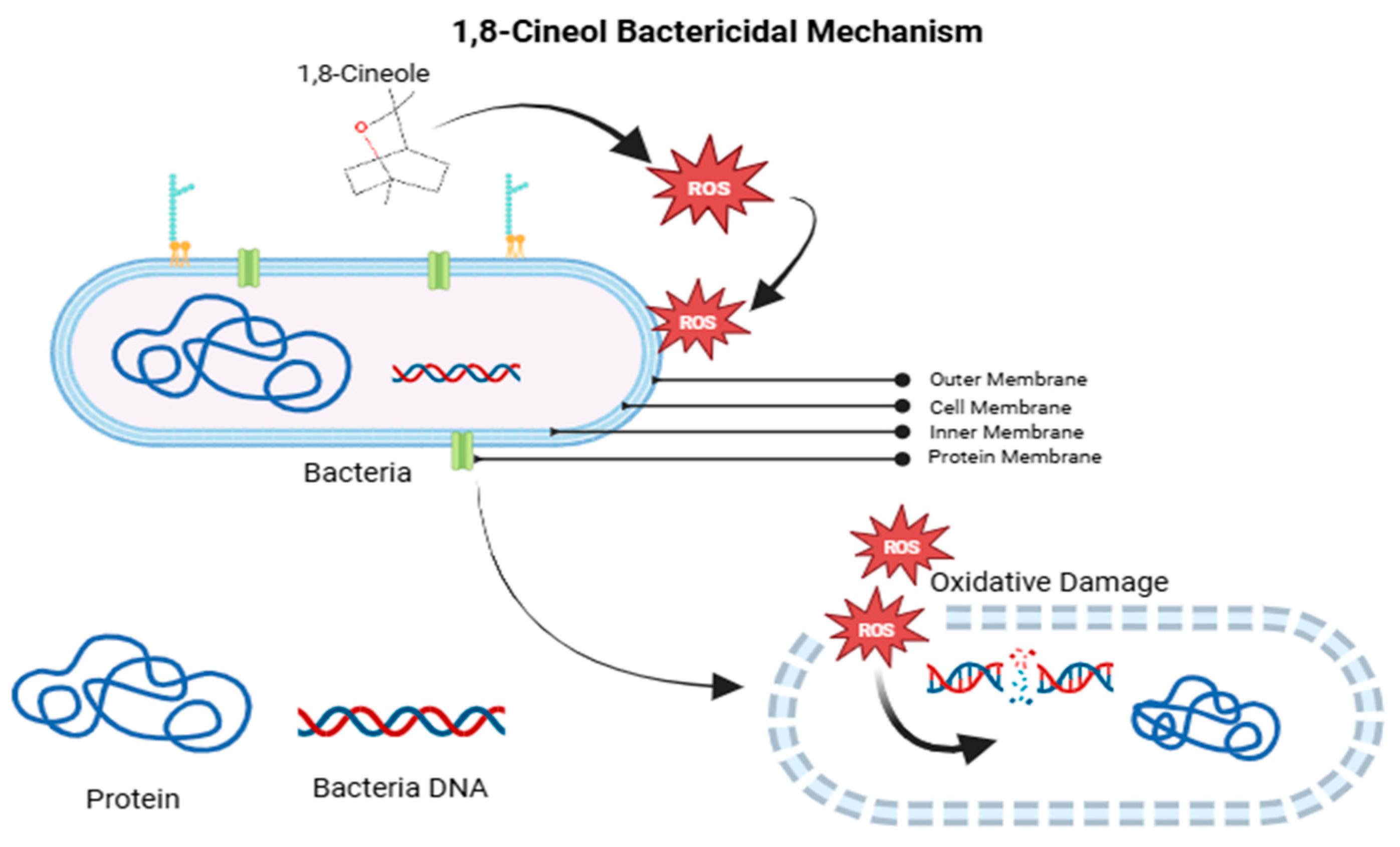 Vetsci 12 00726 g006 Vetsci 12 00726 g006