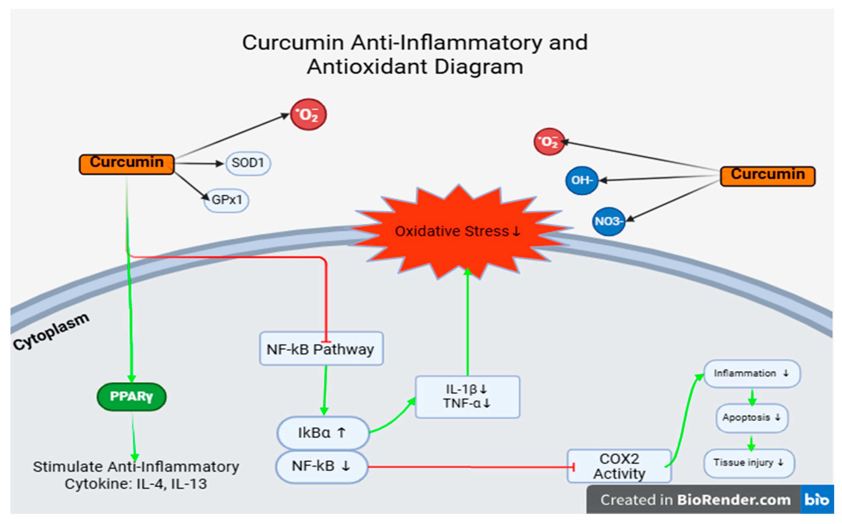 Vetsci 12 00726 g008 Vetsci 12 00726 g008