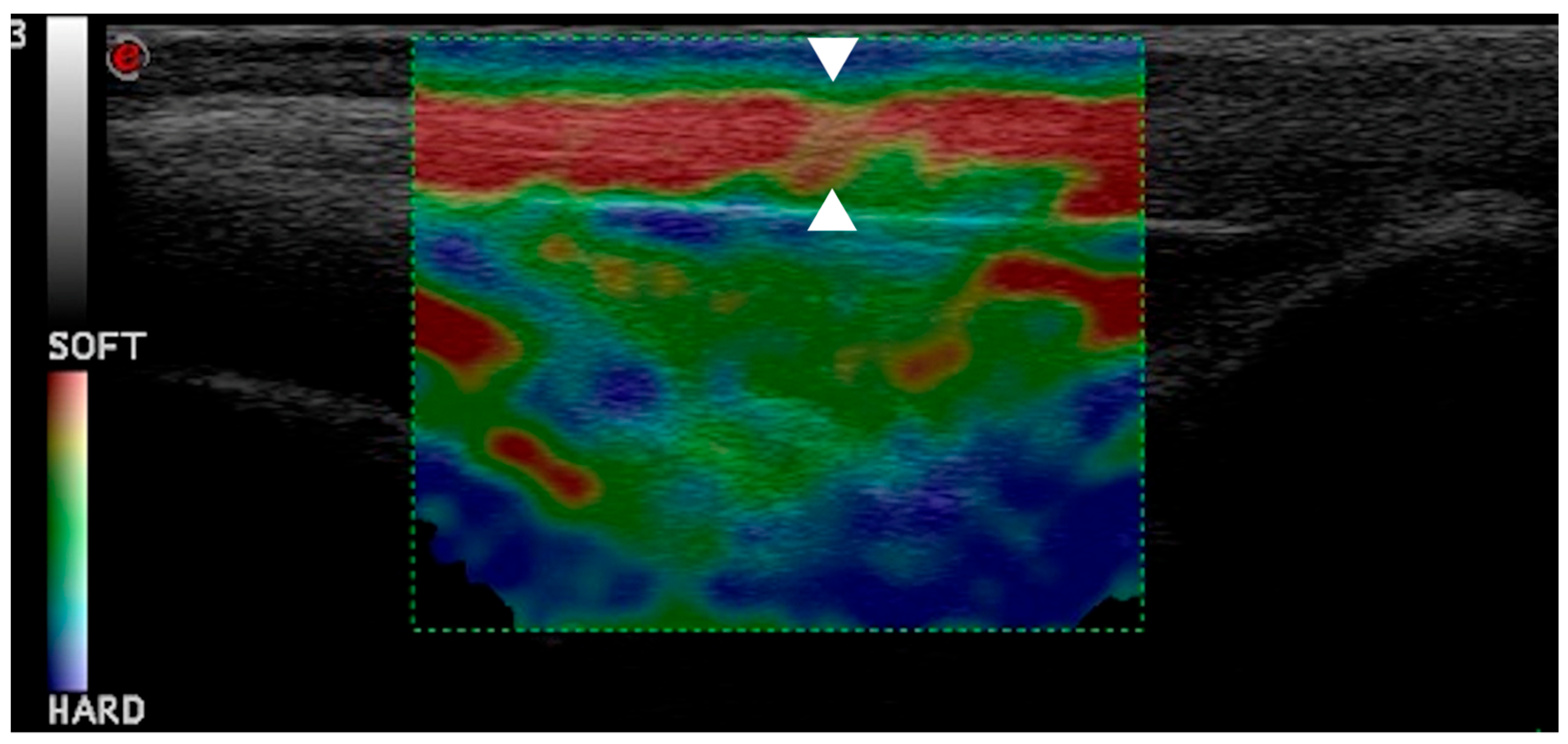 Vetsci 12 00745 g007 Vetsci 12 00745 g007