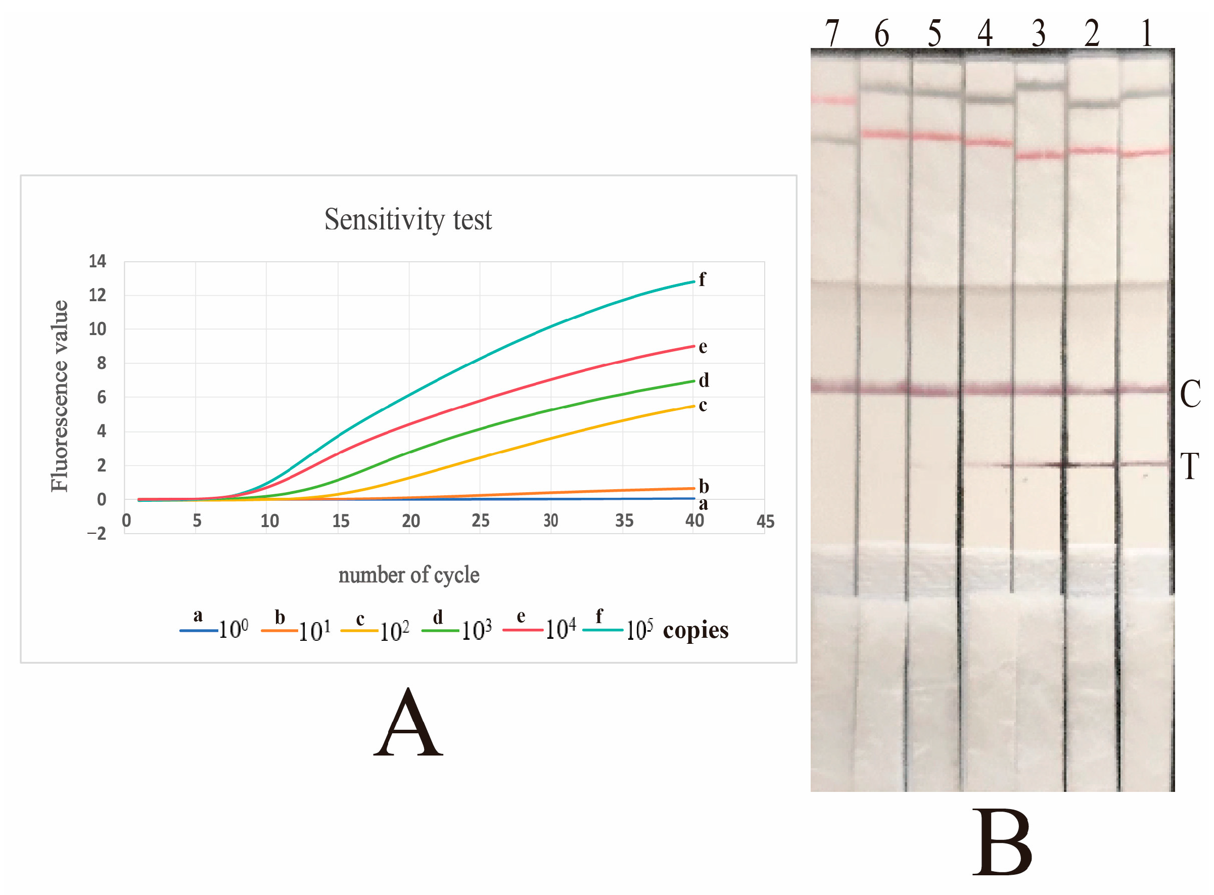 Vetsci 12 00750 g003 Vetsci 12 00750 g003
