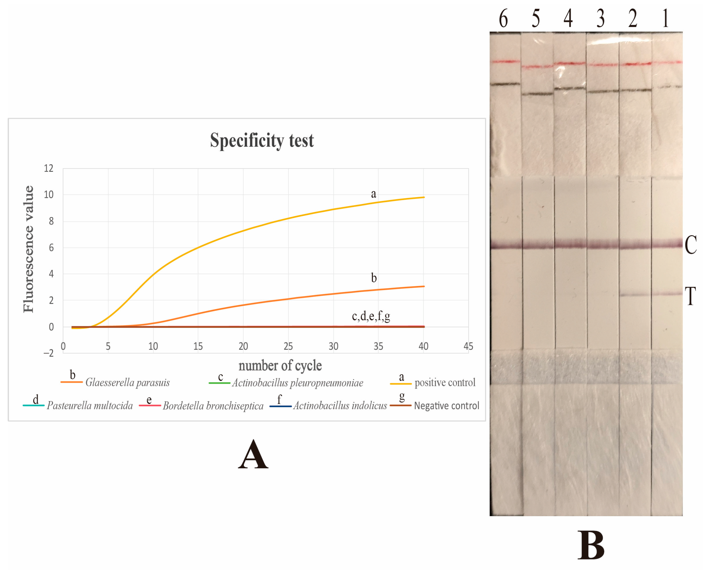 Vetsci 12 00750 g004 Vetsci 12 00750 g004