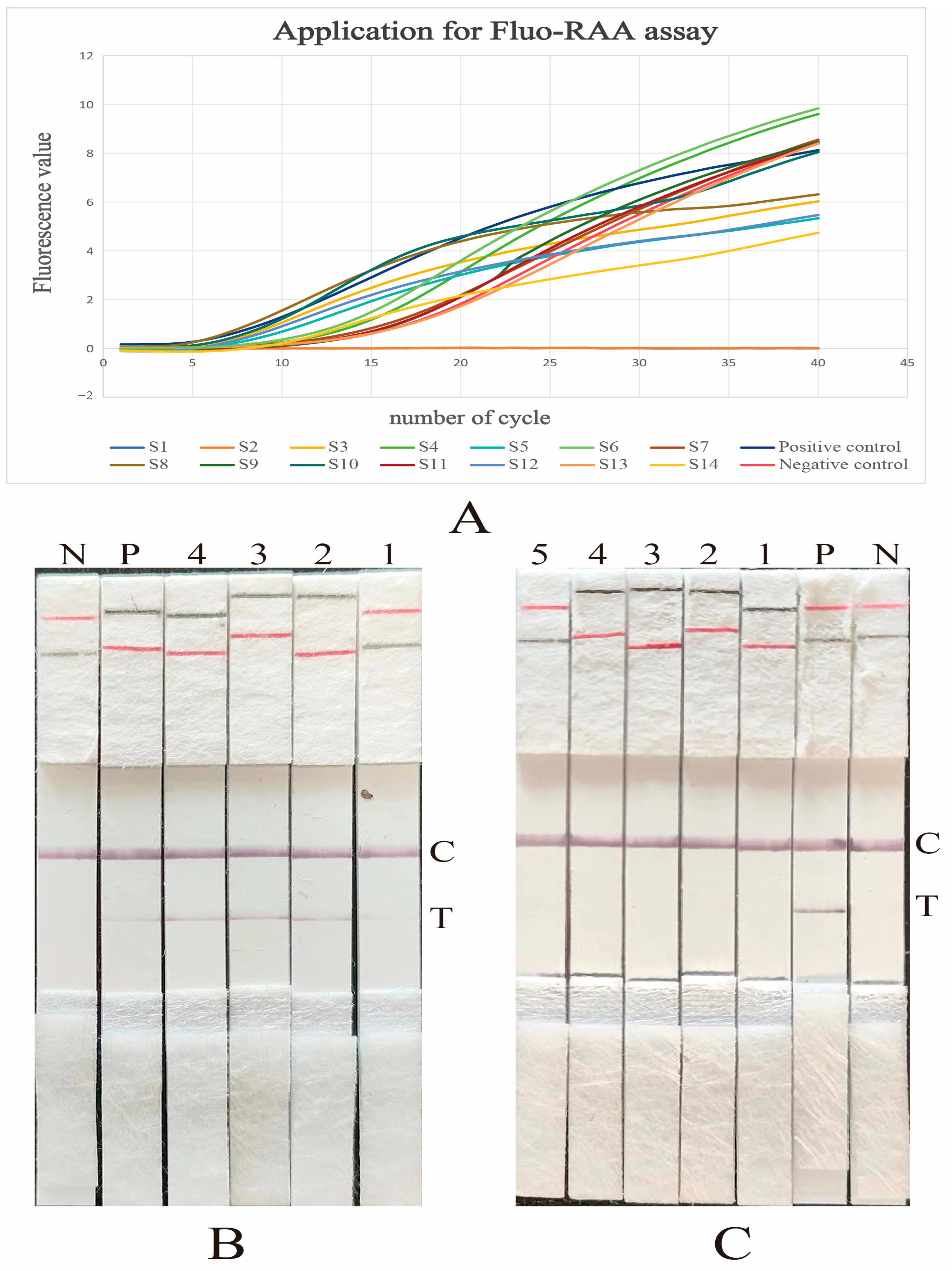 Vetsci 12 00750 g005 Vetsci 12 00750 g005
