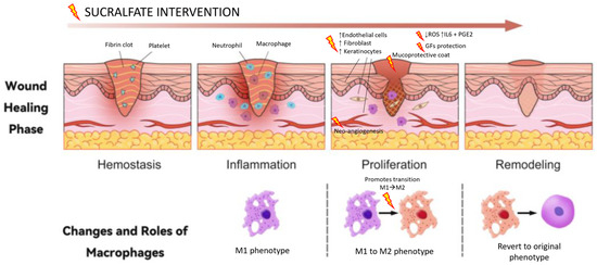 Vetsci 12 00756 g002