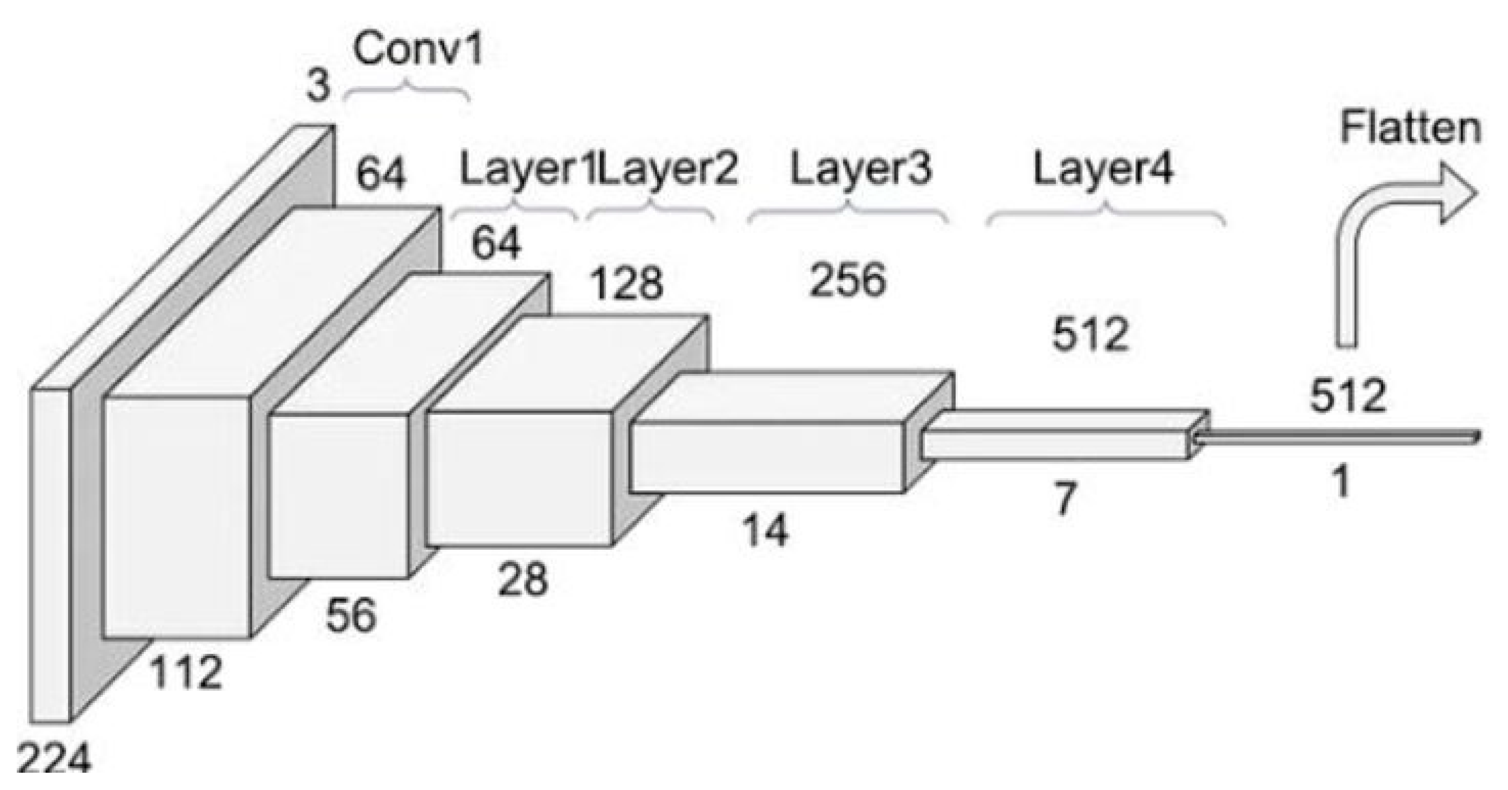 Vetsci 12 00765 g004 Vetsci 12 00765 g004