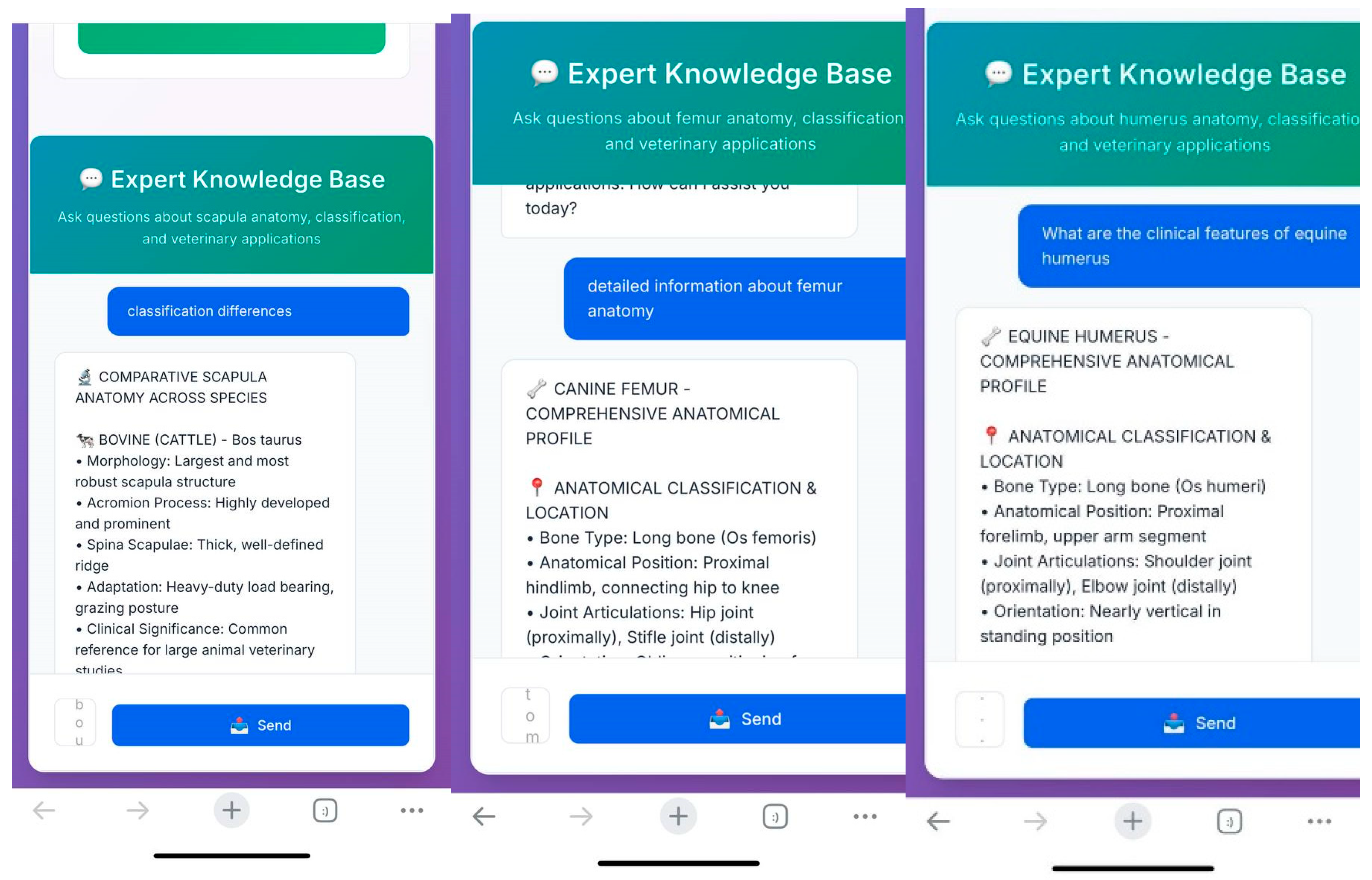 Vetsci 12 00765 g009 Vetsci 12 00765 g009