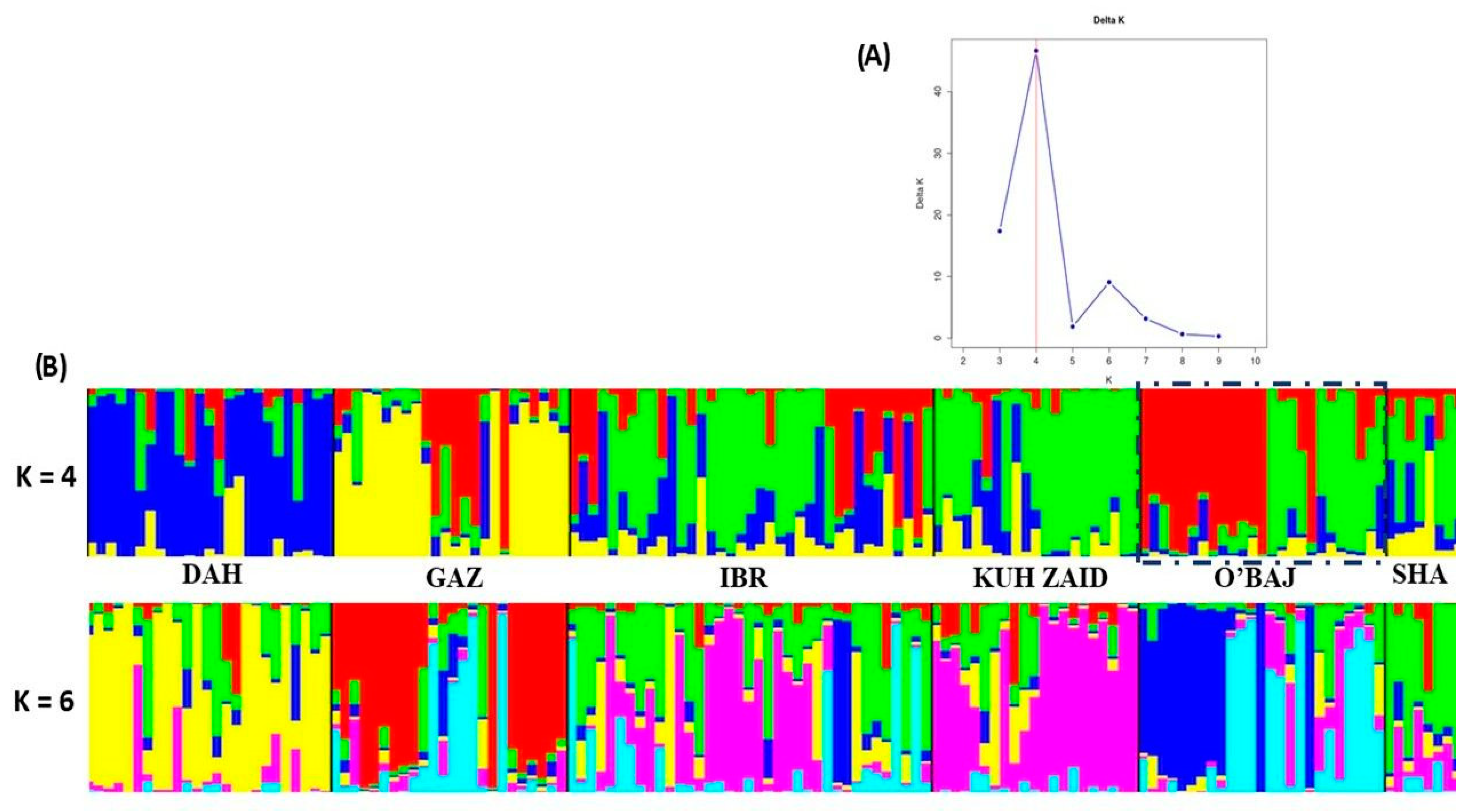 Vetsci 12 00776 g004