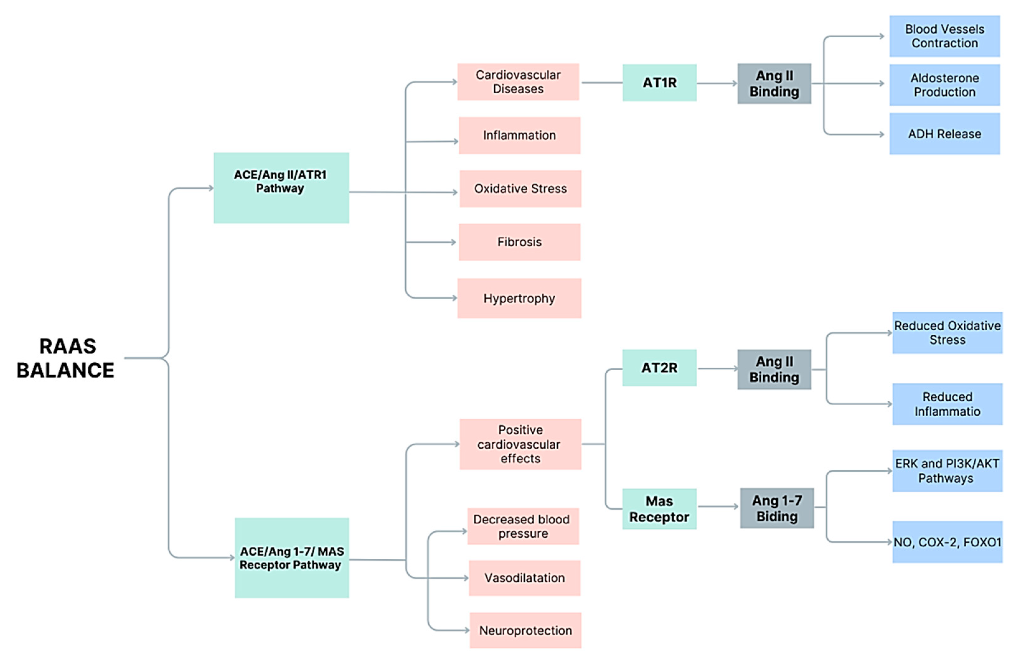 Vetsci 12 00777 g001