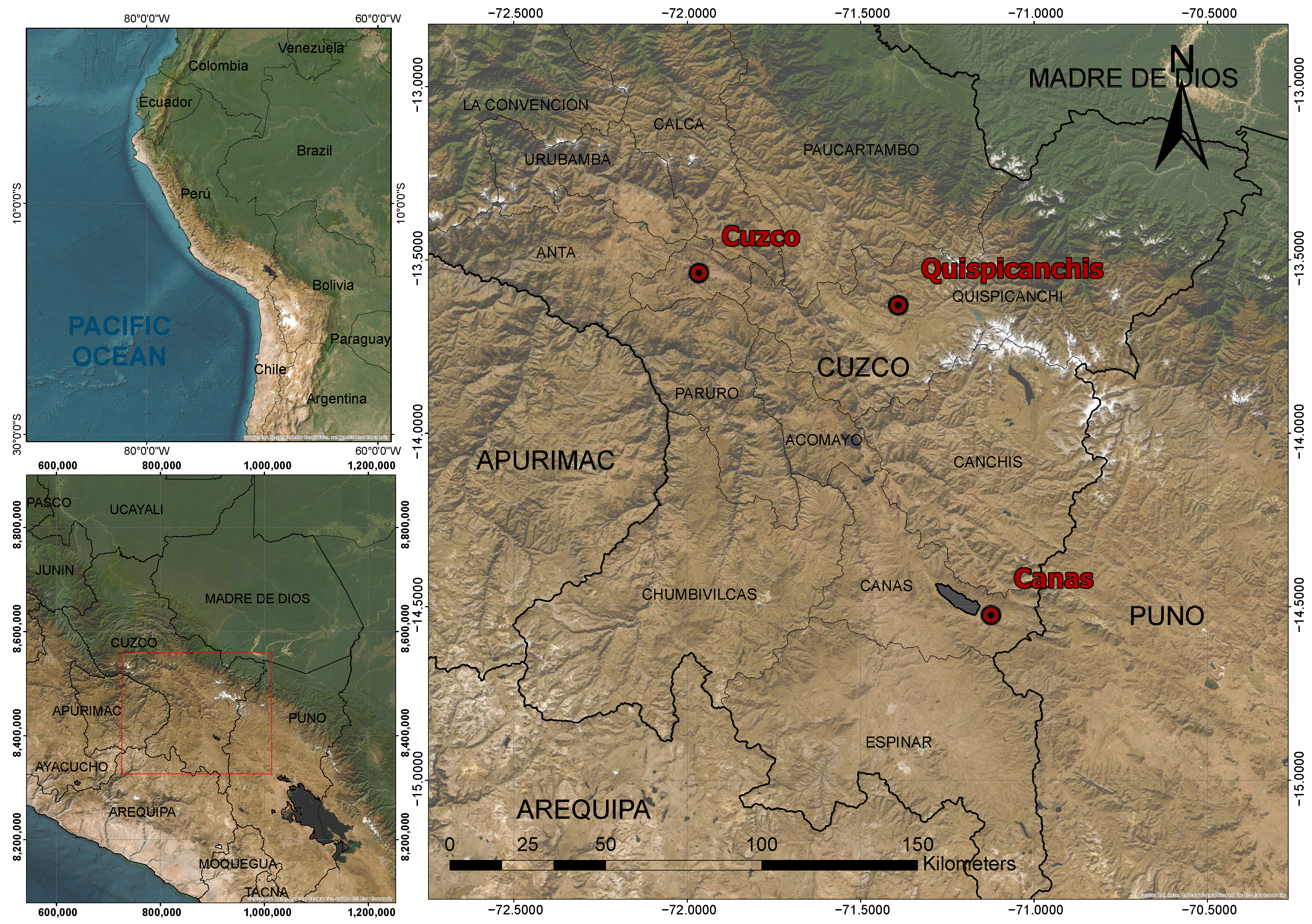 Vetsci 12 00782 g001