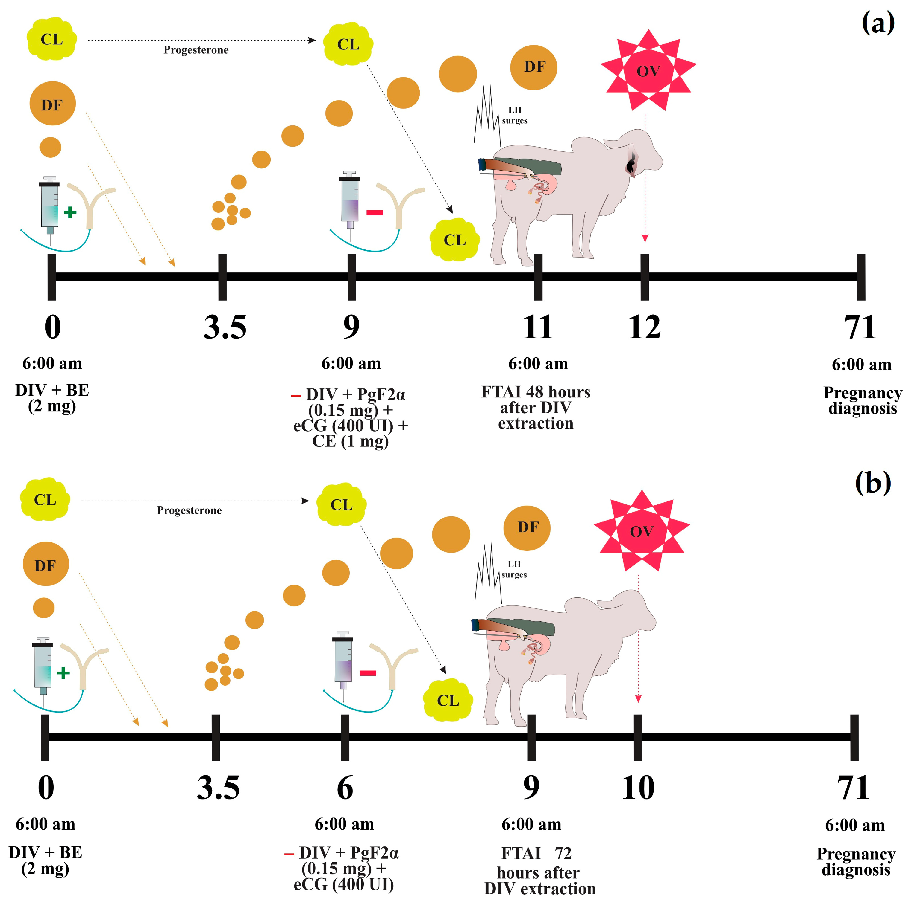 Vetsci 12 00804 g002