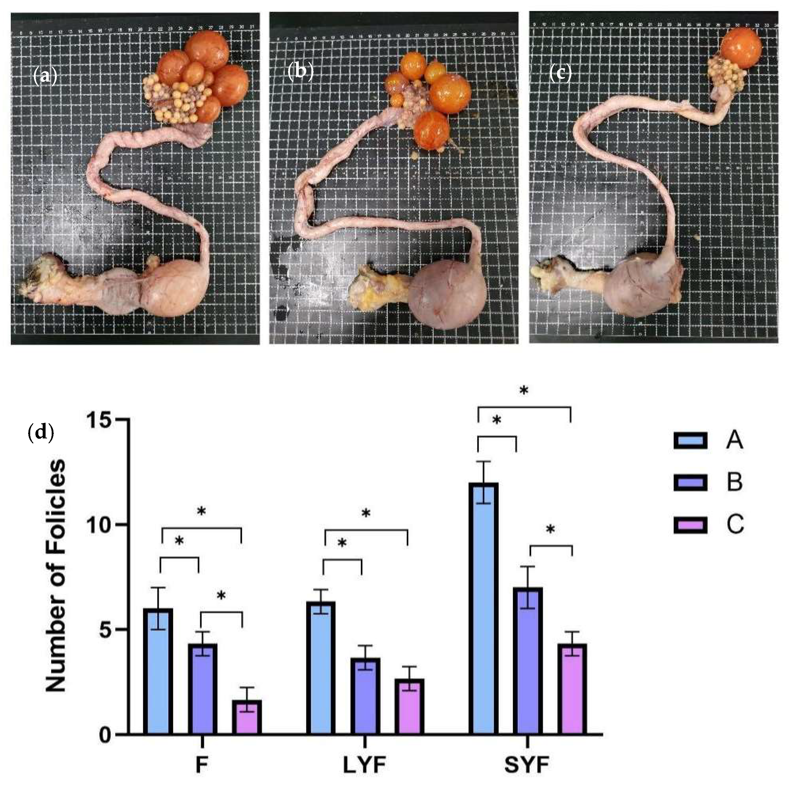 Vetsci 12 00808 g002