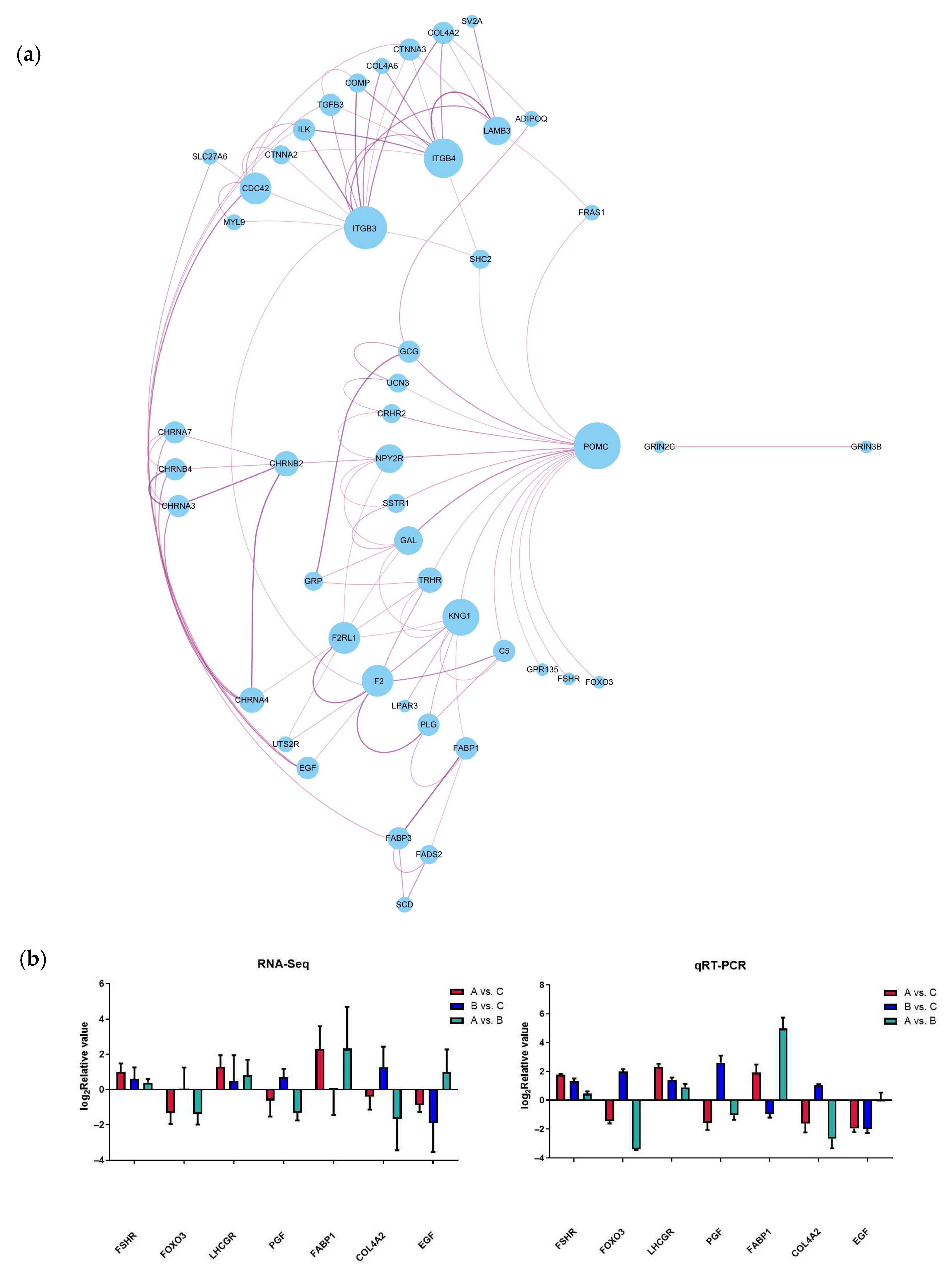 Vetsci 12 00808 g005