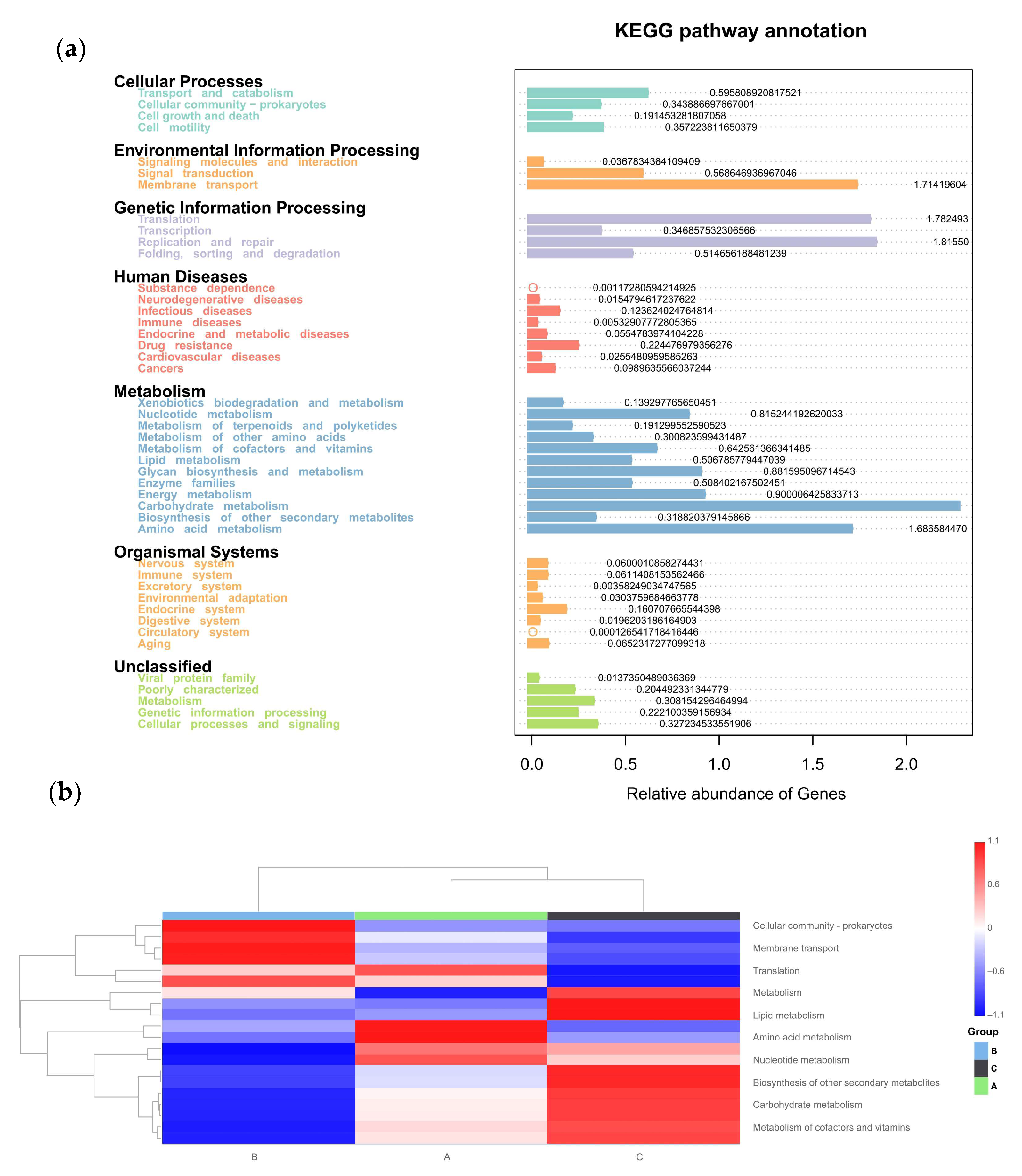 Vetsci 12 00808 g011