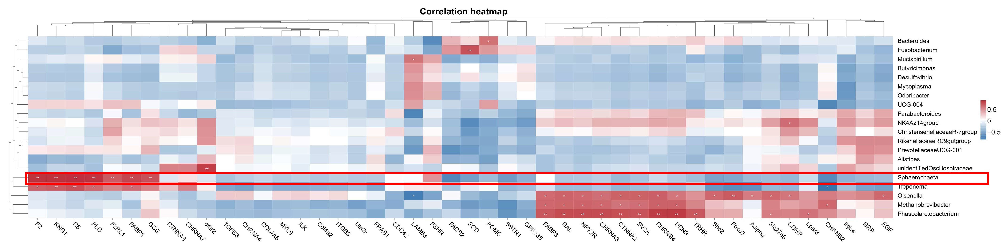 Vetsci 12 00808 g013